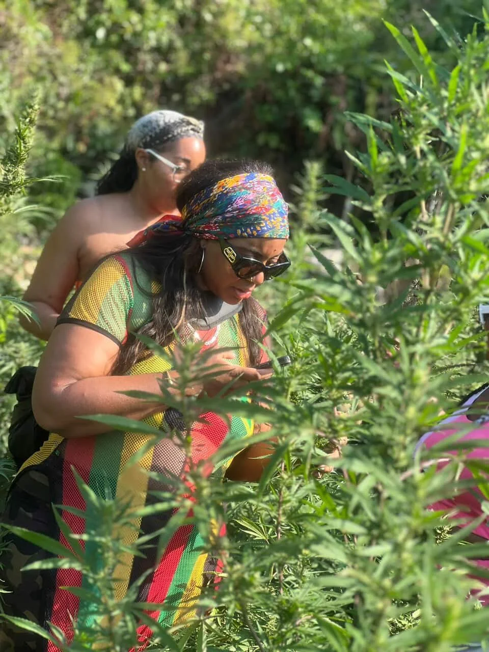 Two women are standing among tall green plants in an outdoor setting. The woman in the foreground is wearing glasses, a colorful headscarf, and a multicolored shirt, looking at her phone. The woman in the background is wearing glasses and has a head 
