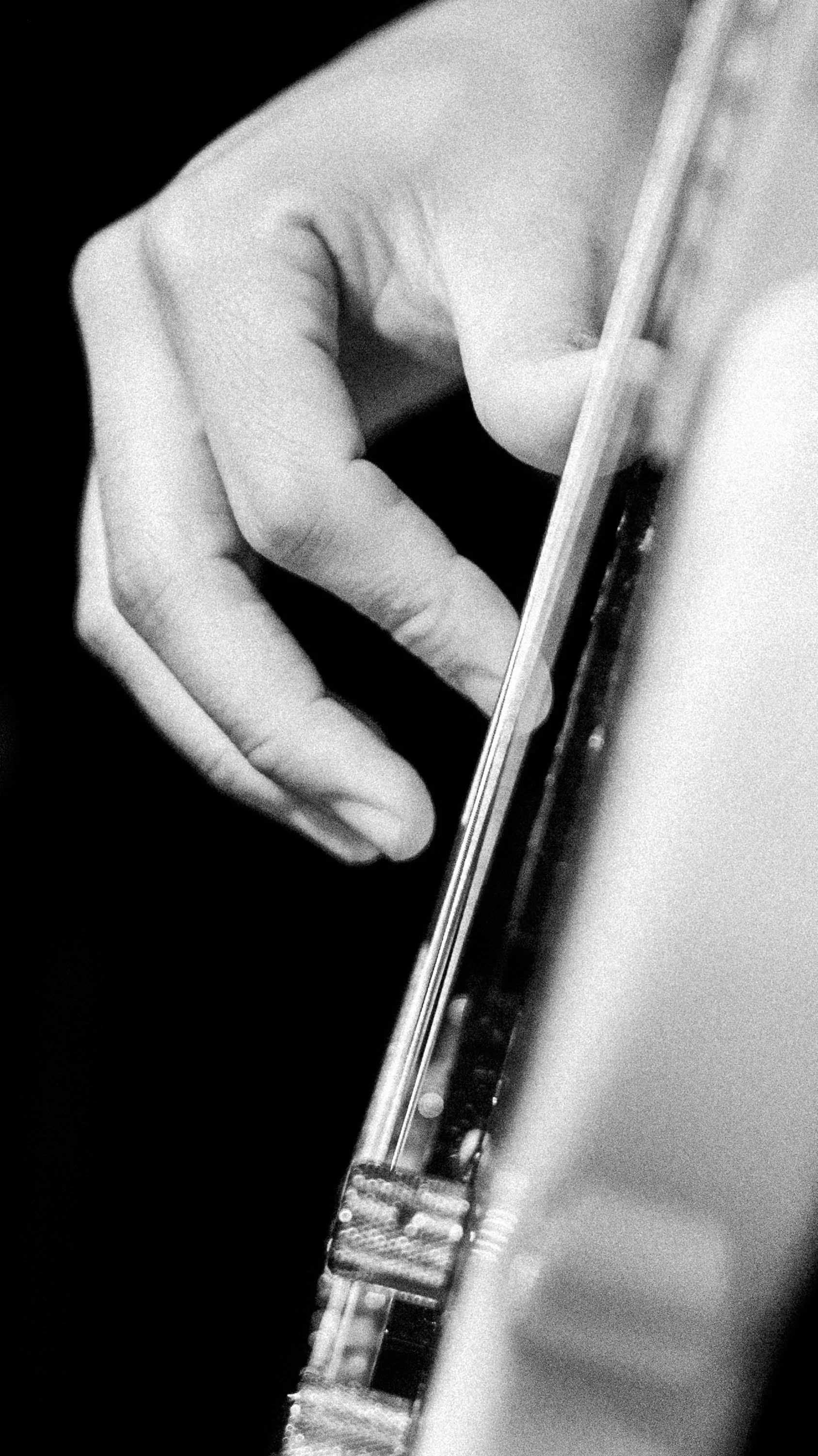 Wes D'Alelio - Bowery Electric 2025