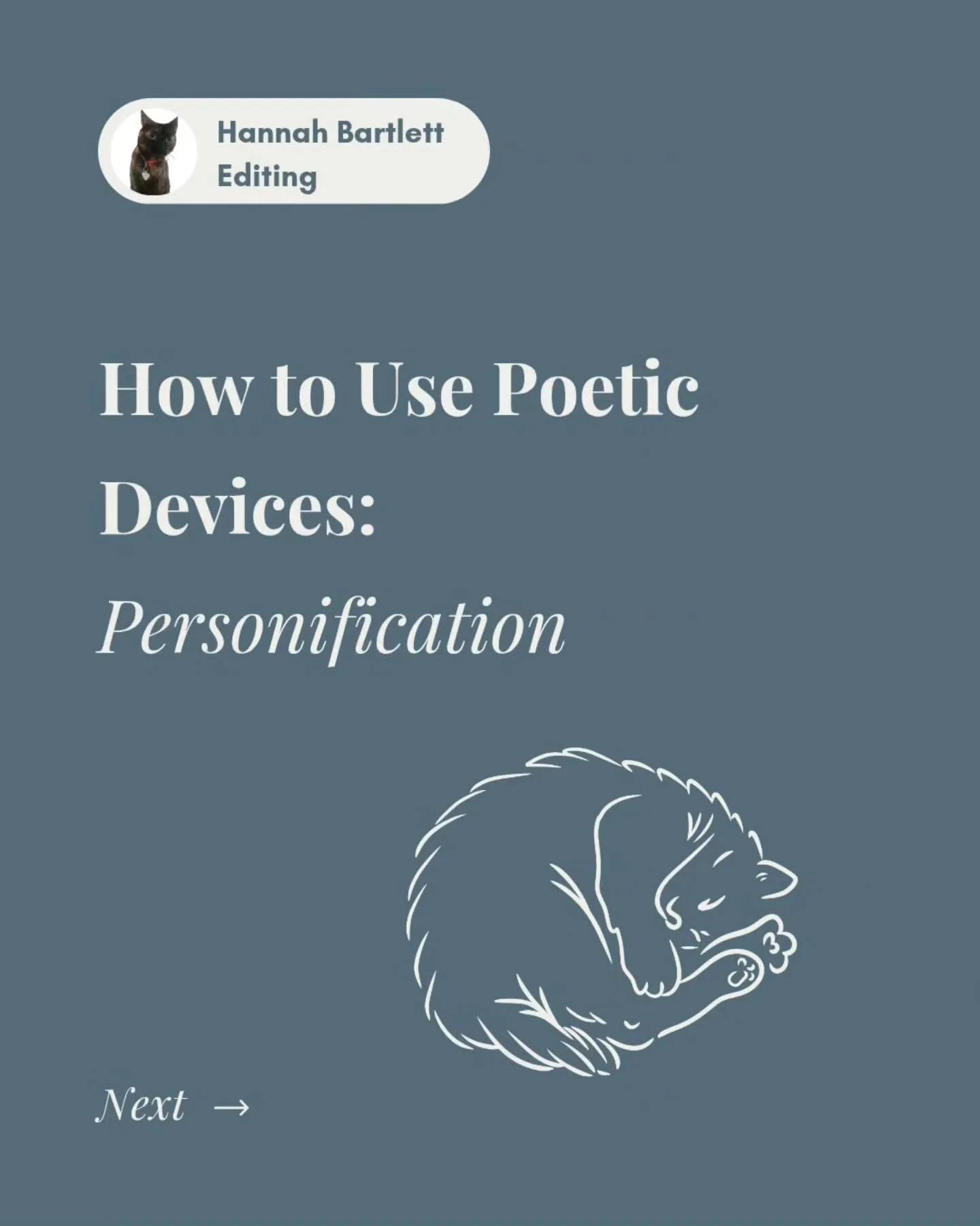 The series continues! How to Use Poetic Devices: personification edition ✒️

Looking to spice up your poems? Learn how to use personification with me!

What creature/object do you feel like? 🐈&zwj;⬛

If you have an idea for what poetic device I shou