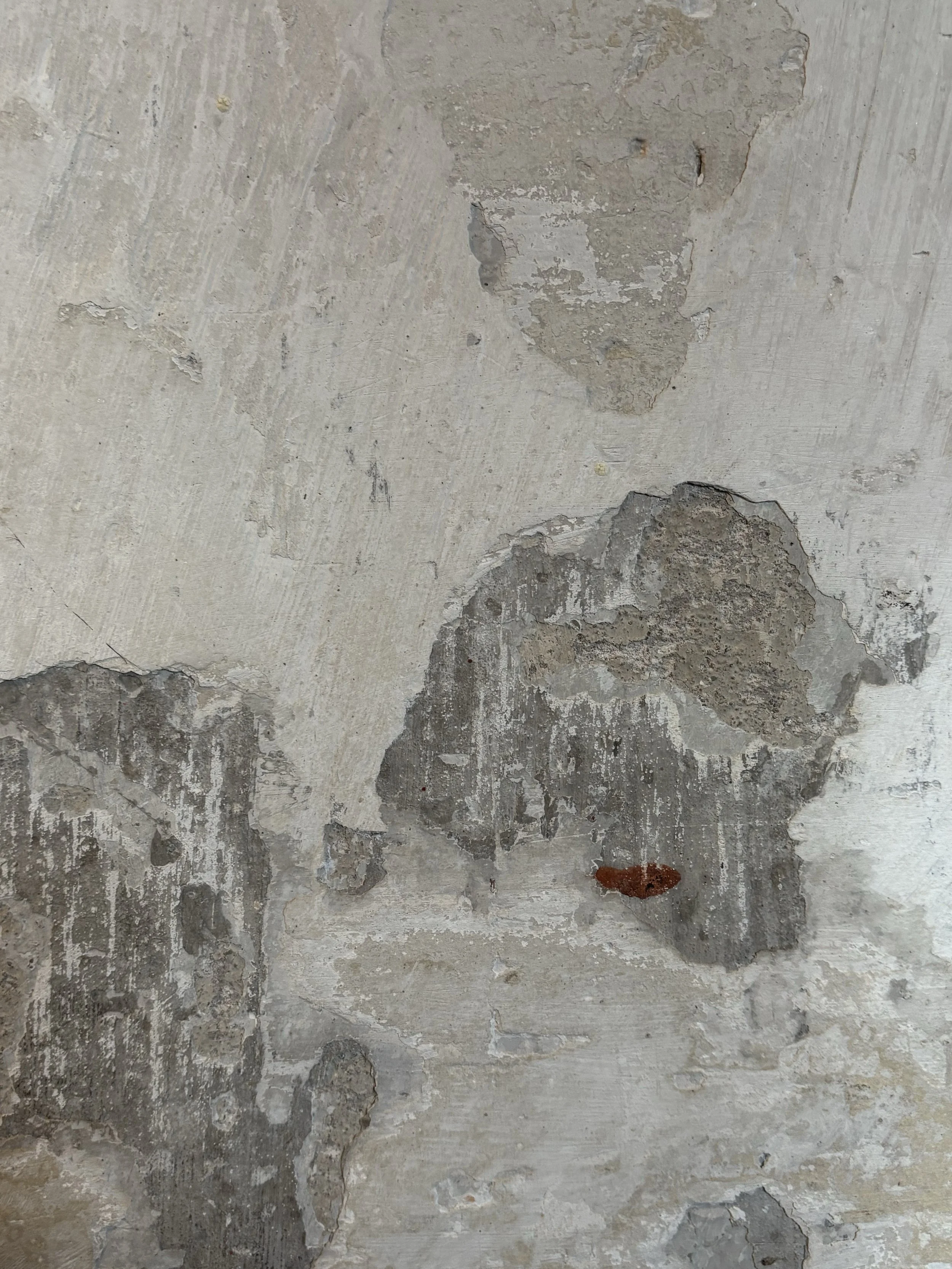 eva-maria molekova-dupe.jpeg