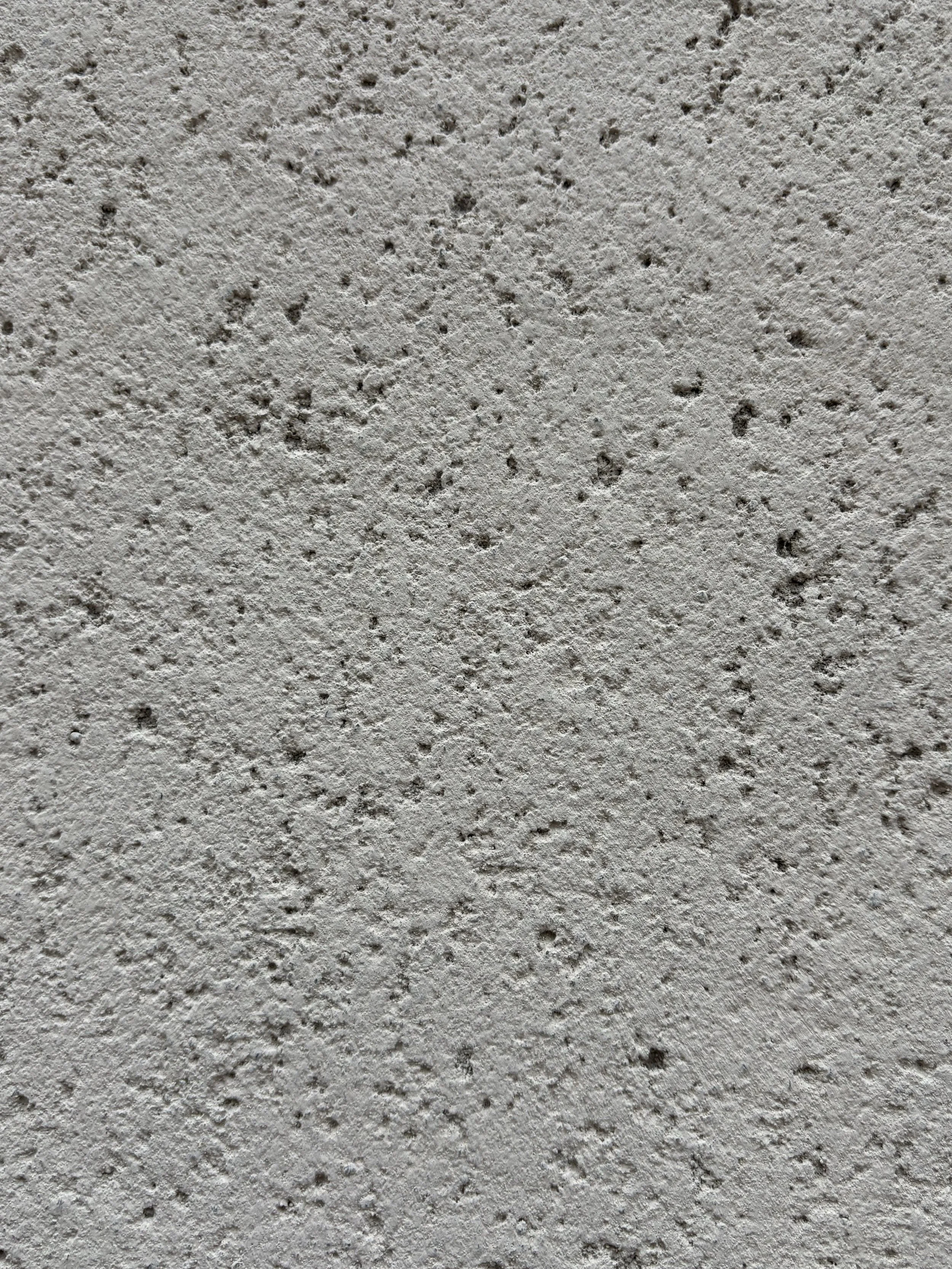 eva-maria molekova-dupe (1).jpeg