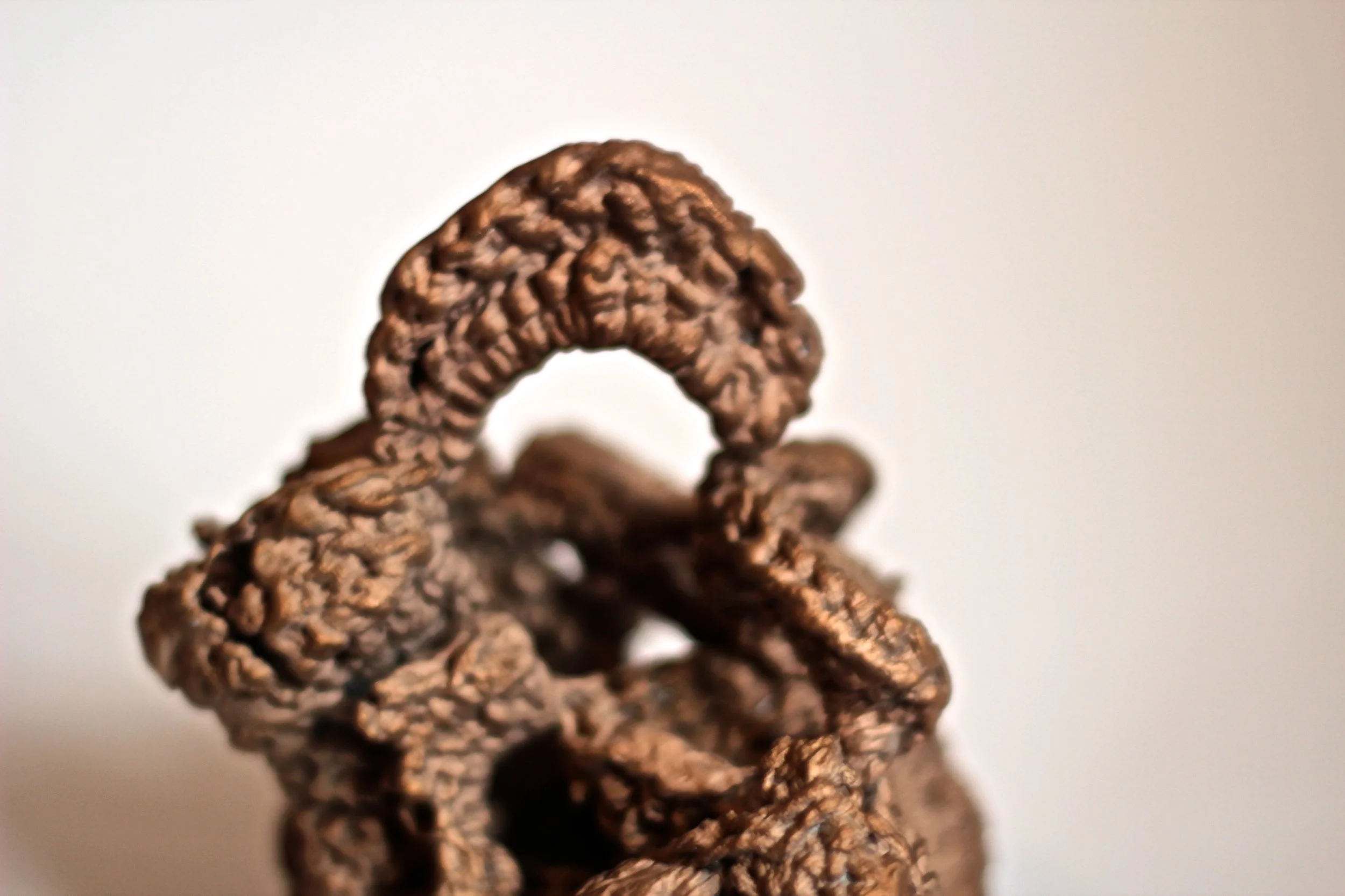 Close-up of a small, curled, dark brown seed or dried fruit against a plain, light background.