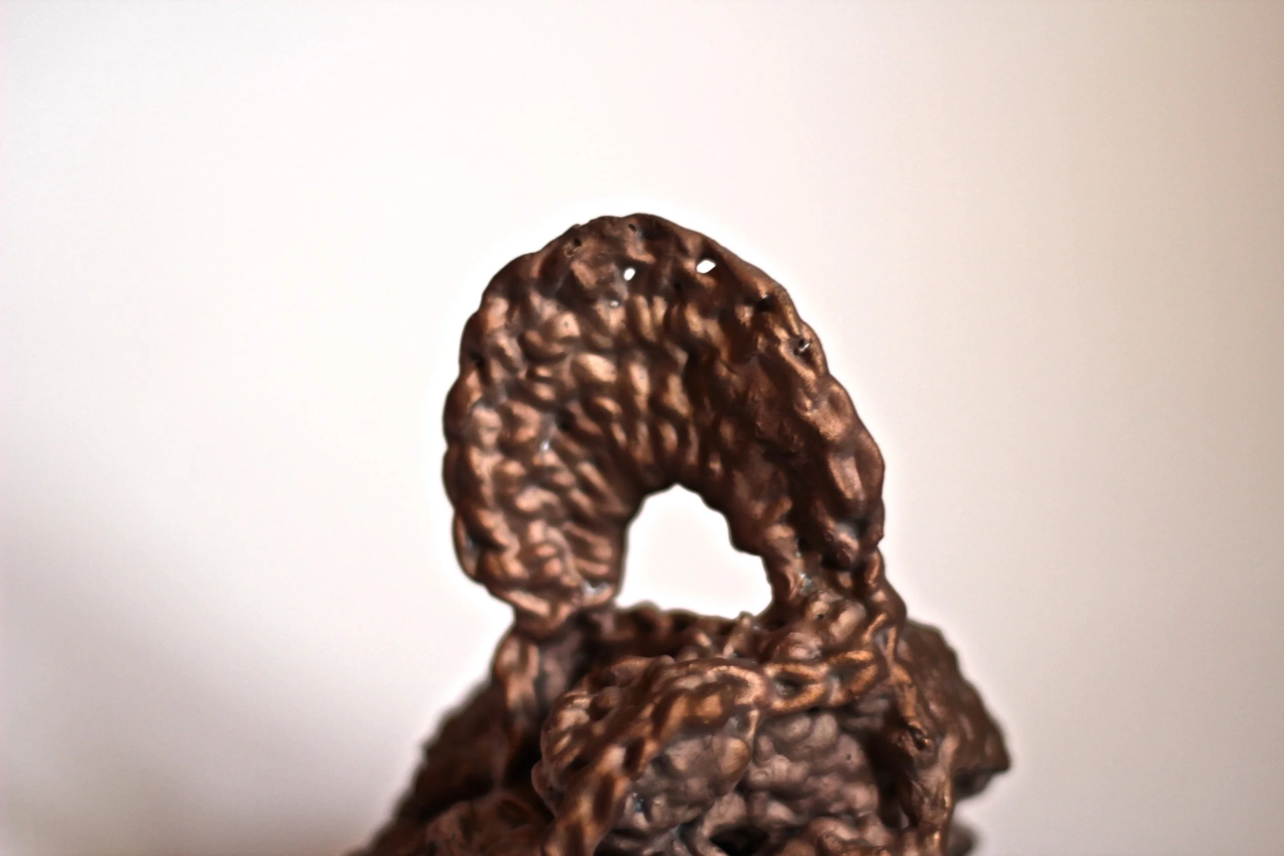 Close-up of a chocolate cereal piece with a textured, bumpy surface, set against a plain white background.
