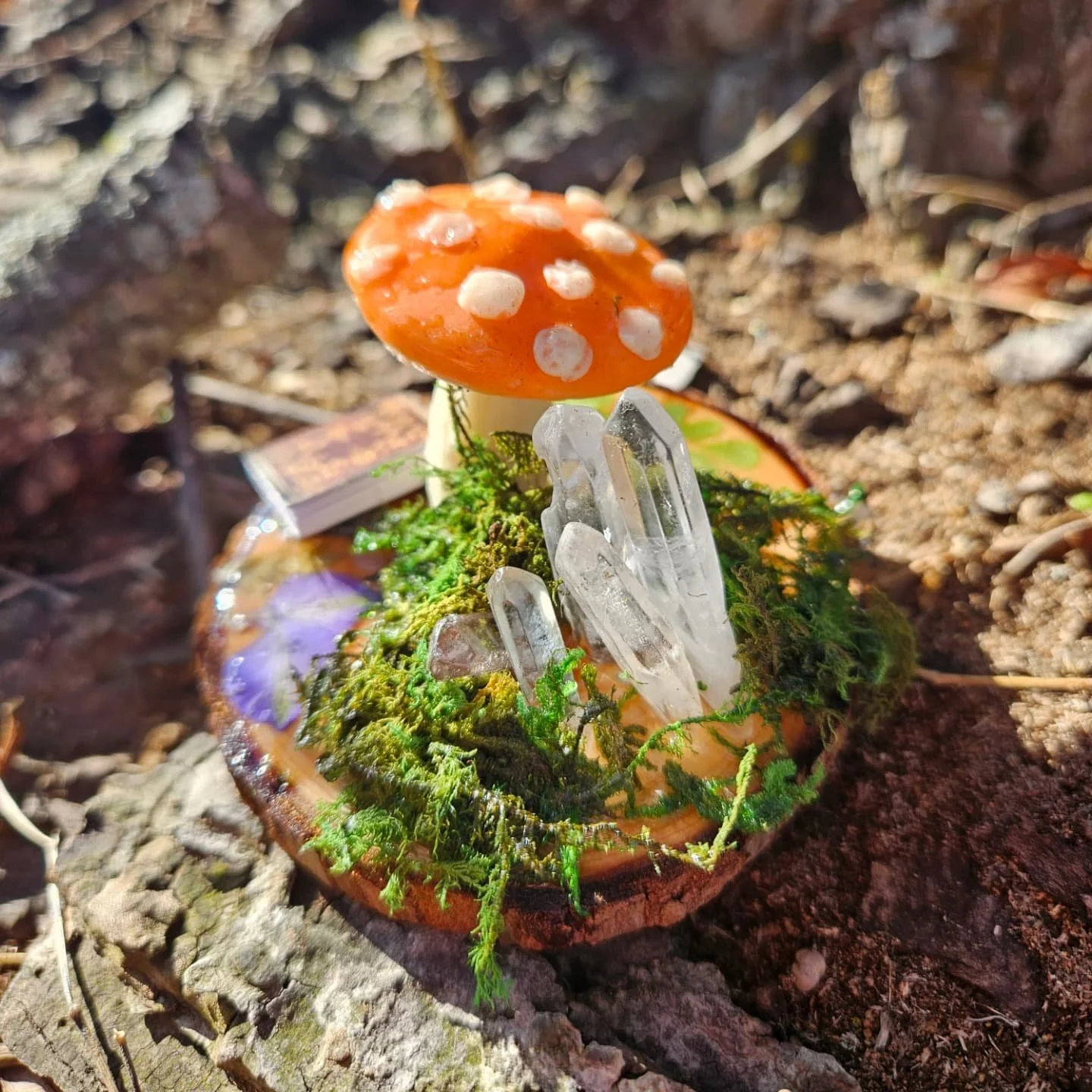 Enchanted Mushrooms