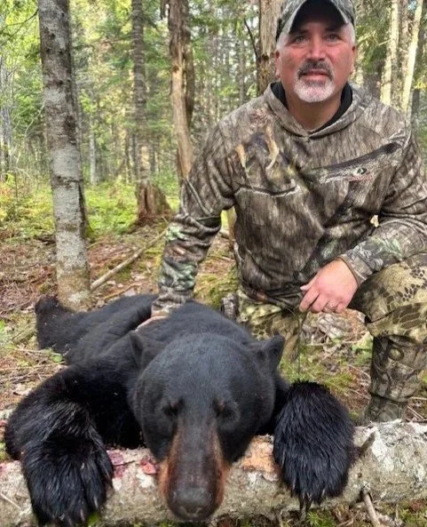 Hunter in camouflage clothing behind a black bear carcass on fallen logs in a forest.