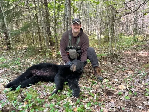 A person kneeling next to a young black bear cub in a forest.