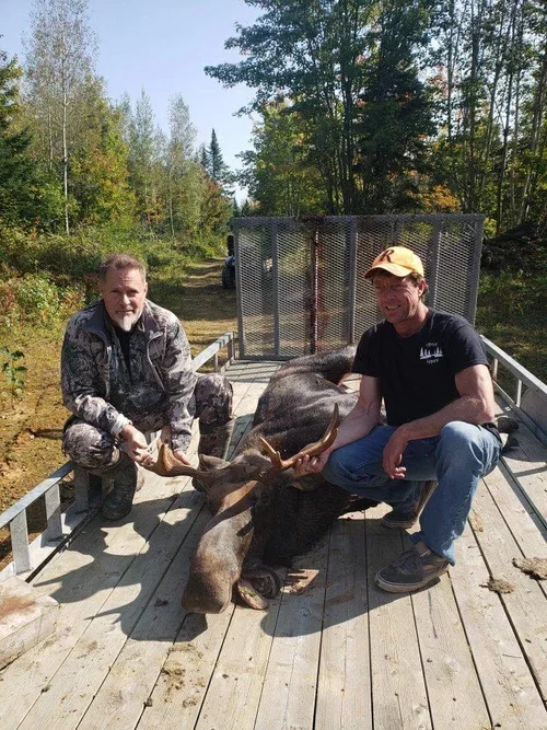 Two men on a wooden trailer are holding a large moose by its antlers, with the moose lying on the trailer bed. The scene is outdoors with tall trees and a dirt path in the background.