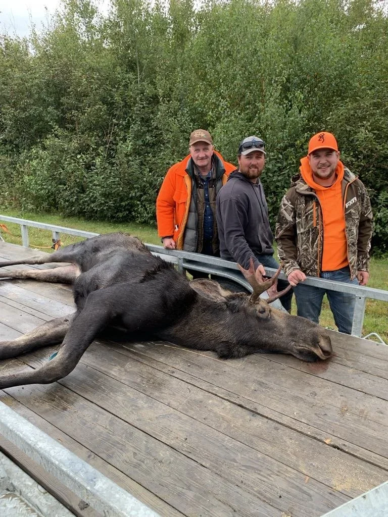 Three men stand behind a flatbed trailer with a large, dead moose lying on the wooden surface. The moose's antlers are visible, and its body is stretched out on the trailer in a wooded outdoor setting.