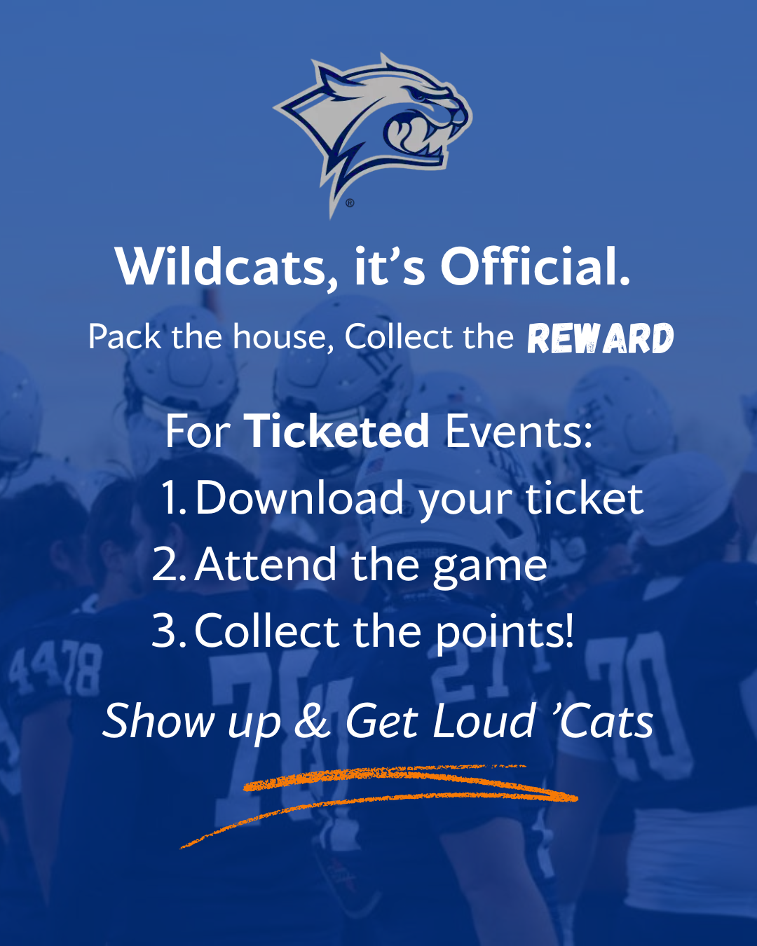 InstagramFacebook Announcements (1).png