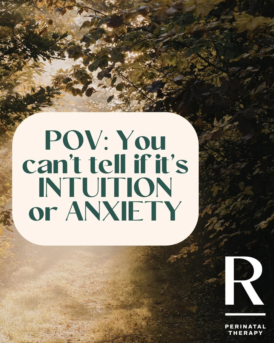 Learning the difference between intuition and anxiety can feel like such a fine line during pregnancy and postpartum, especially when everything you&rsquo;re experiencing feels new and emotional. 🤍

Trusting yourself as a new mom does not mean never