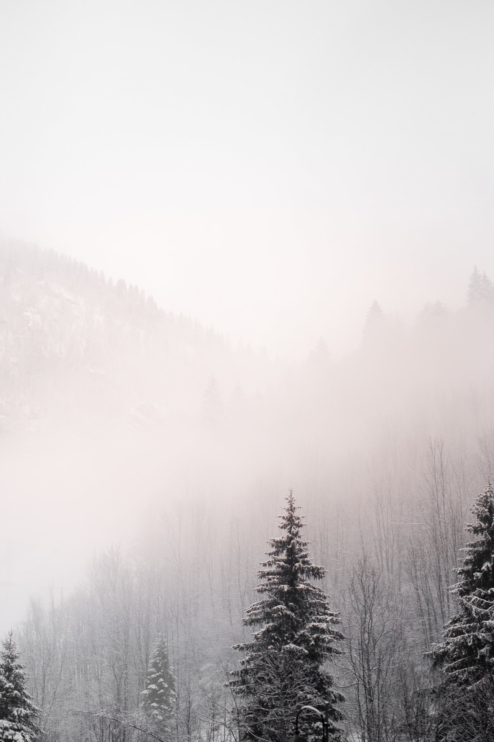 Winter Reflections on HOPE