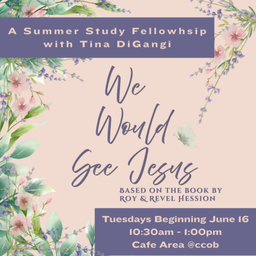 We Would See Jesus with Tina DiGangi
