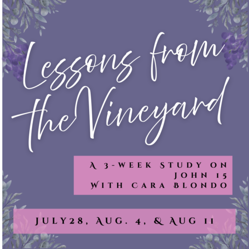 Lessons From the Vineyard with Cara Blondo