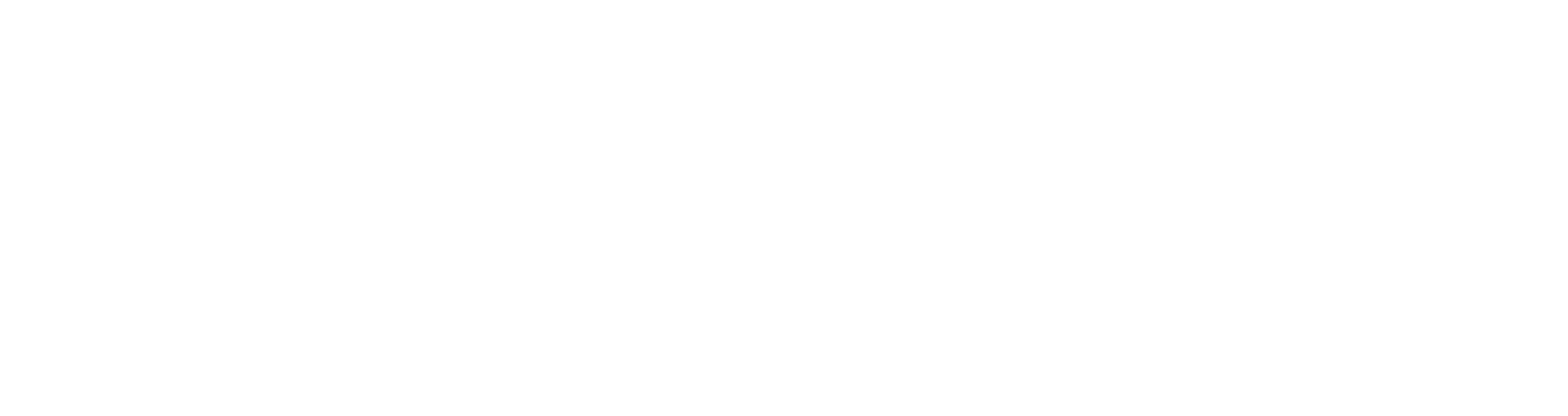 Text stating "Australia's Bespoke Portrait Agency."