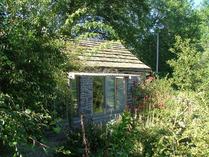 Old stone shed with glass windows, surrounded by overgrown bushes and trees, in a lush green garden.