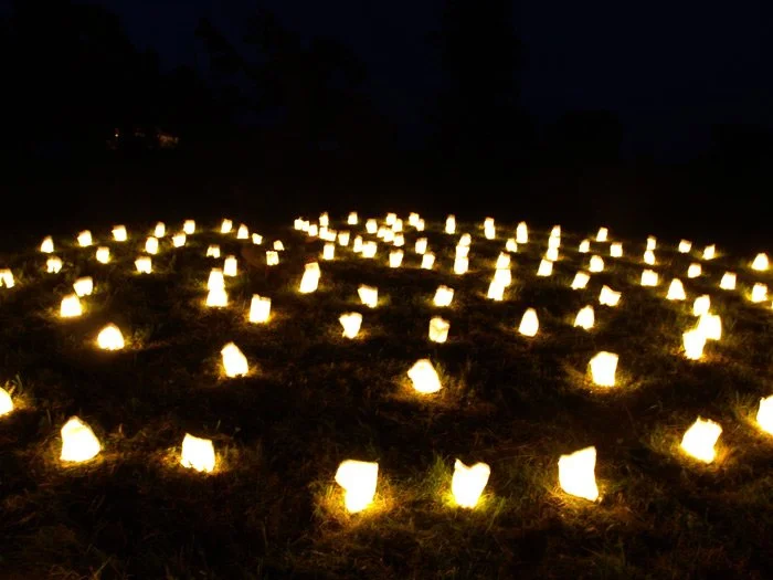 A field illuminated with numerous glowing paper lanterns at night.