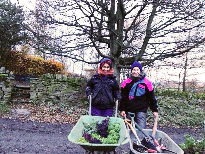 Two kids outdoors, one young girl pushing a wheelbarrow filled with leafy greens, the other standing next to her, both dressed in winter jackets and hats, with leafless trees and a stone wall in the background.