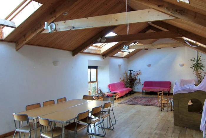 An open-concept room with a high wooden ceiling and skylights, featuring a long dining table with eight chairs, two pink sofas, a small wooden table, a rug, and some potted plants.