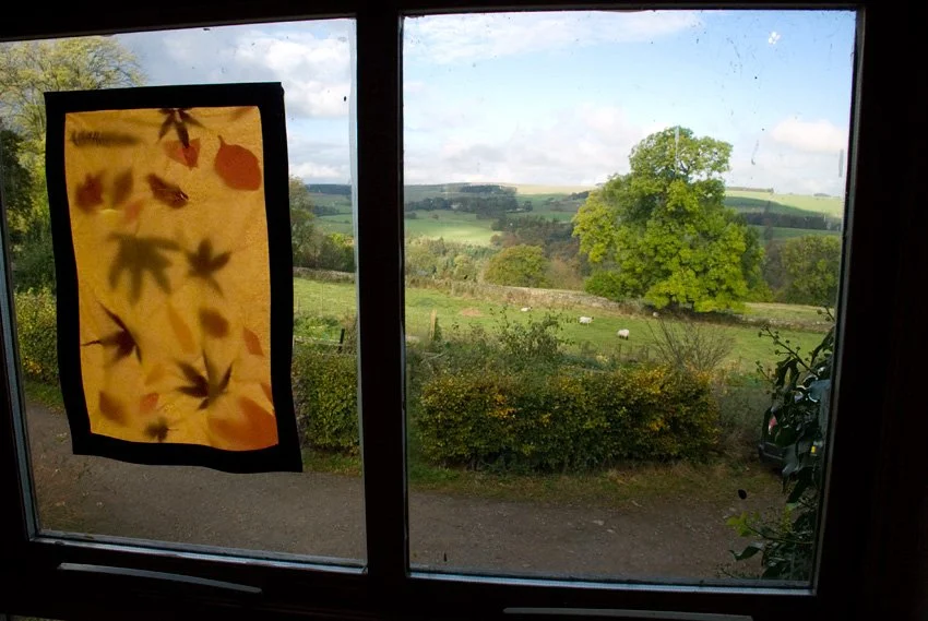View through a window showing a green countryside landscape with rolling hills, scattered trees, and sheep grazing. A decorative curtain with leaf patterns is partially drawn on the left side of the window.