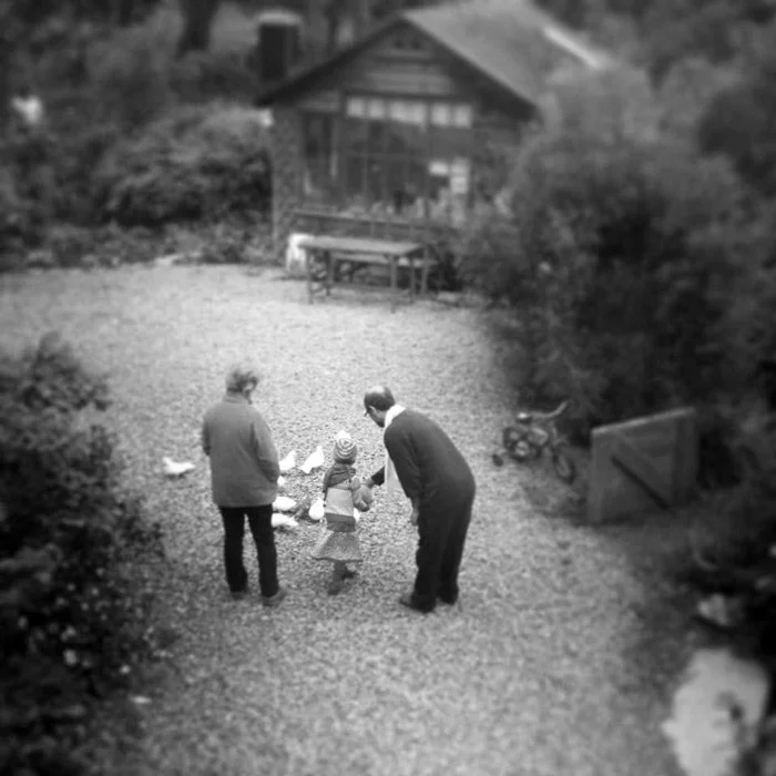 Three people, including a small child, walking on a gravel path in a garden or backyard with bushes, trees, and a small wooden house or shed in the background.