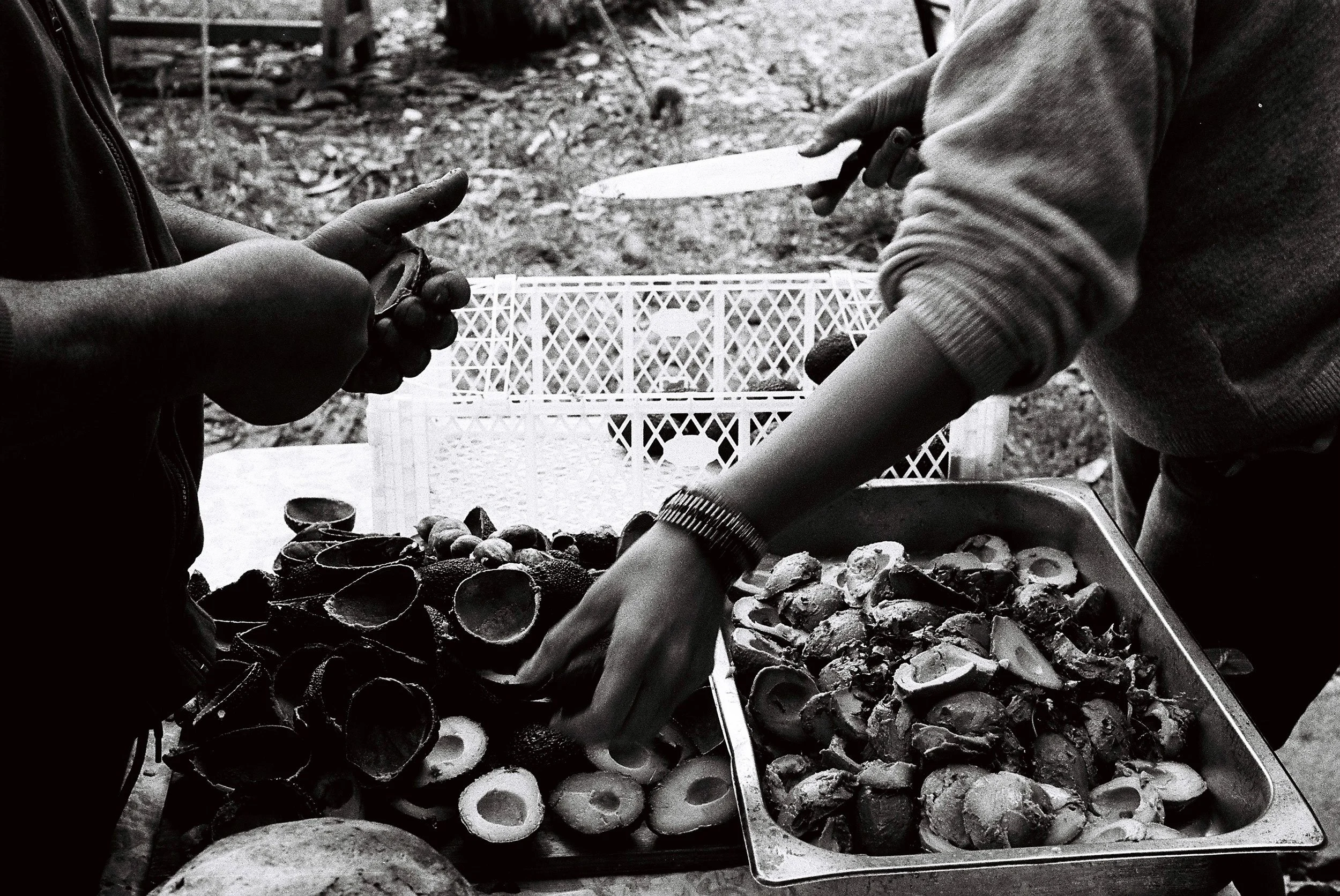 Two people preparing food outdoors with a tray of chopped vegetables and a container of shells or seafood. One person is slicing with a knife while the other is handling some food.
