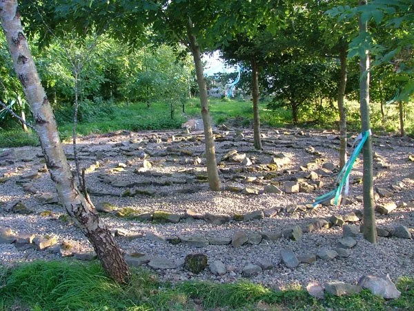 A backyard garden with a stone pathway under several trees, surrounded by green grass and foliage.