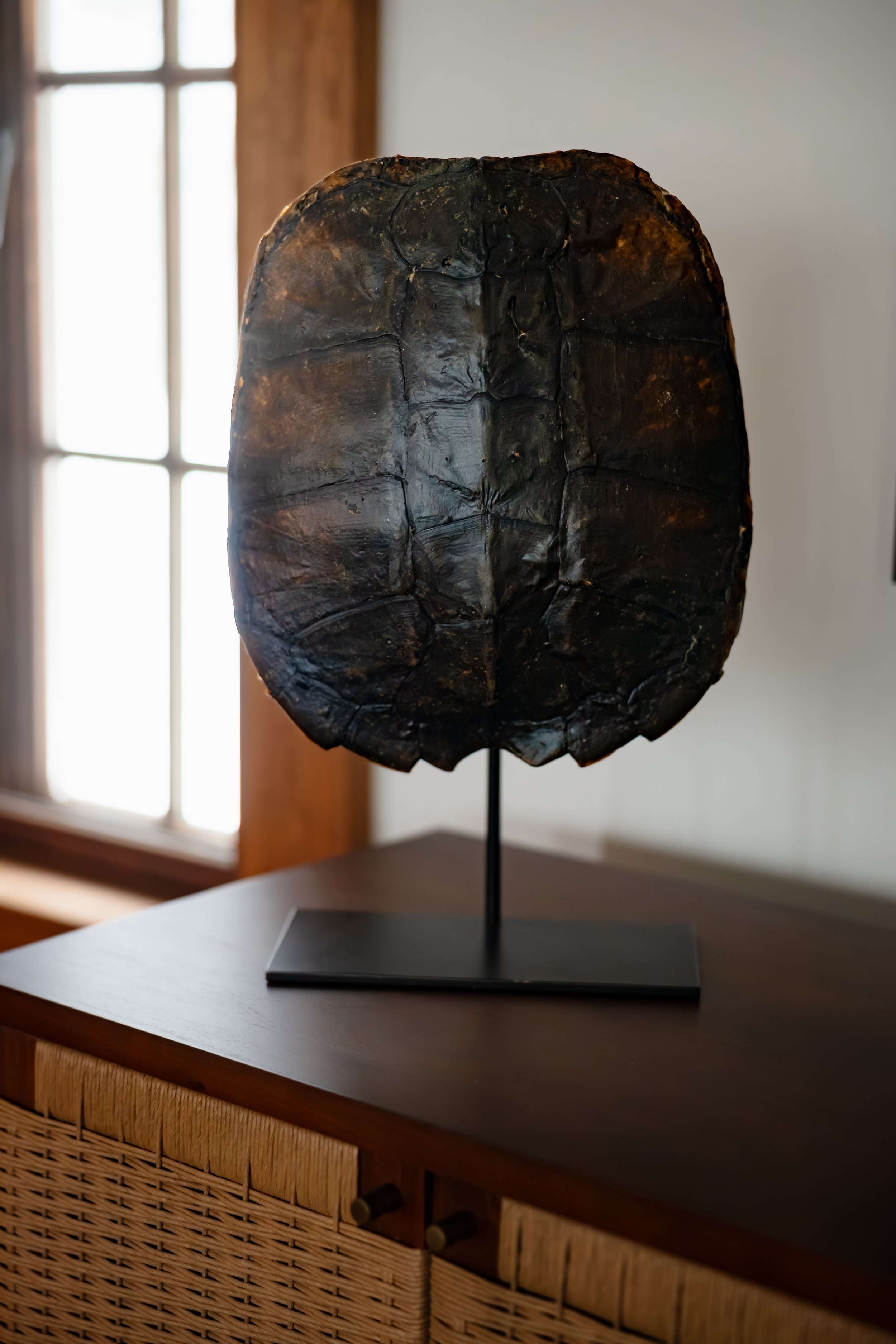  Sculptural black decor turtle shell displayed on woven wood cabinet.