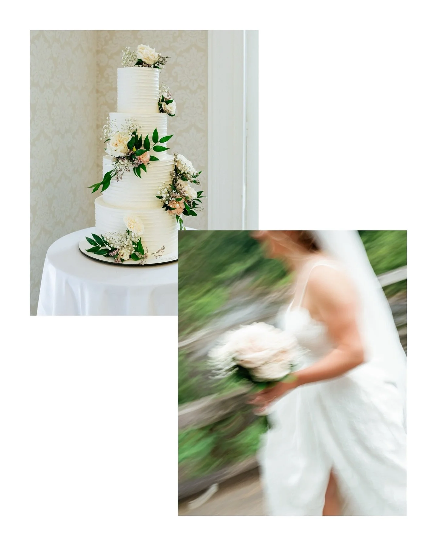 Green as the common thread.
The kind that calms, connects, and lets everything breathe.