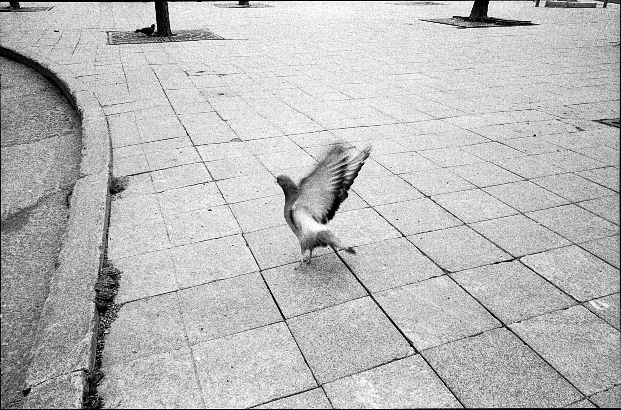 street020.JPG
