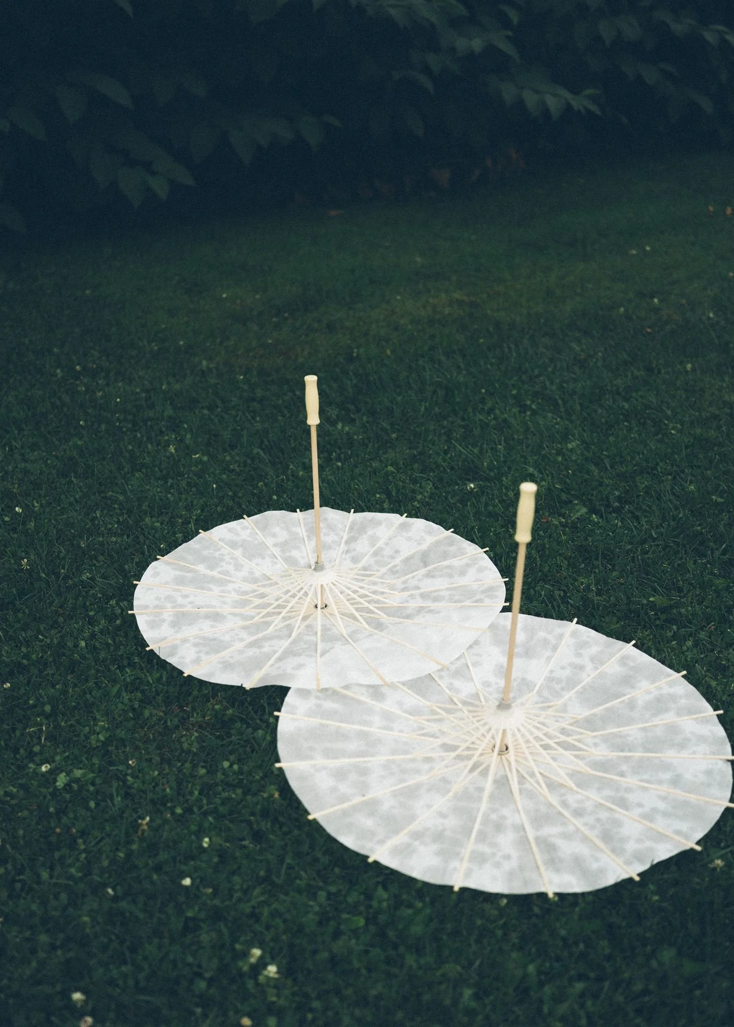 Trois parasols en papier blanc ouverts sur de l'herbe verte, avec un fond d'arbres et de feuillages.