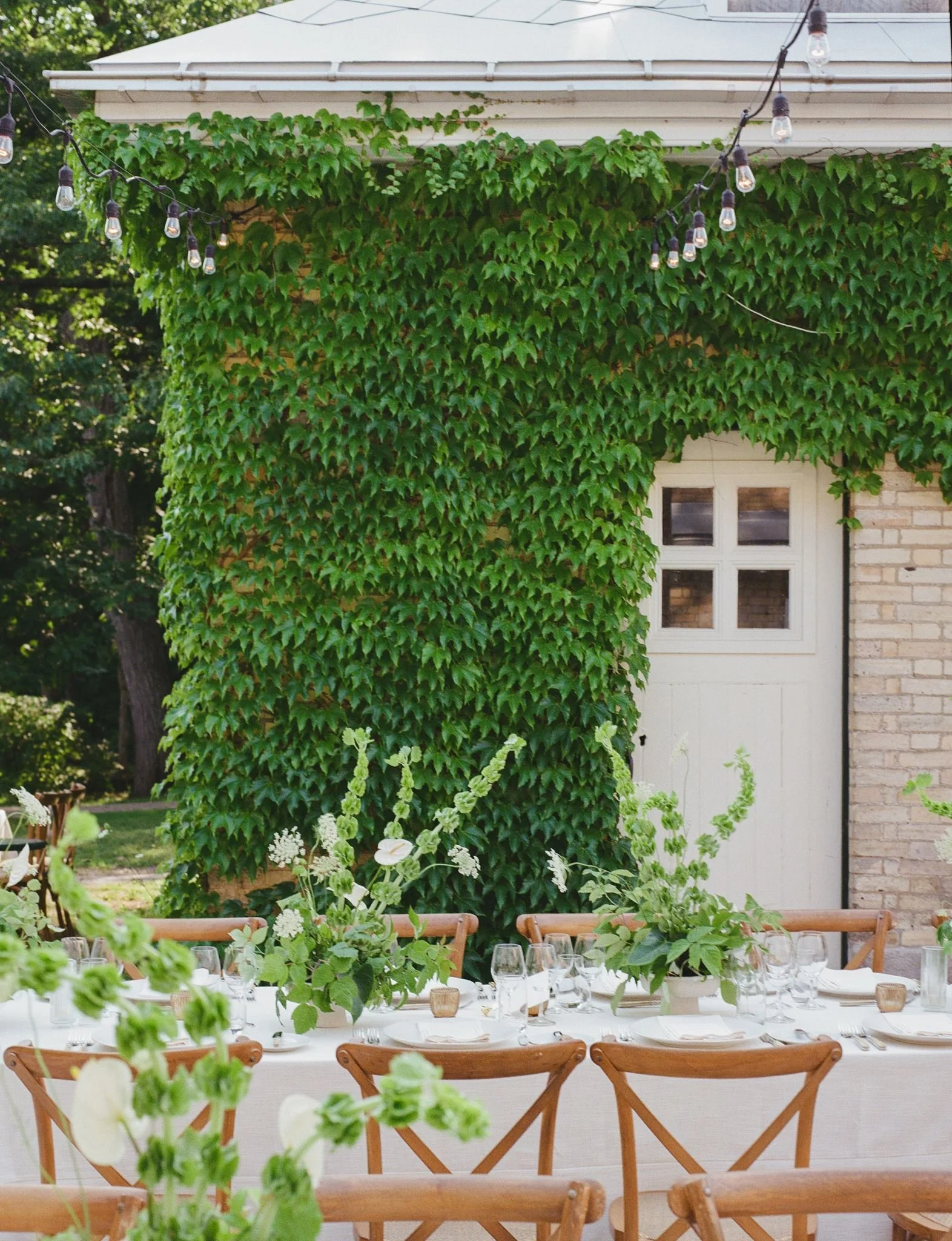 Une scène extérieure d'une réception ou d'un repas en plein air, avec une table longue couverte d'une nappe blanche, décorée de fleurs et de verres, entourée de chaises en bois. En arrière-plan, un mur recouvert de lierres verts et un bâtiment avec f