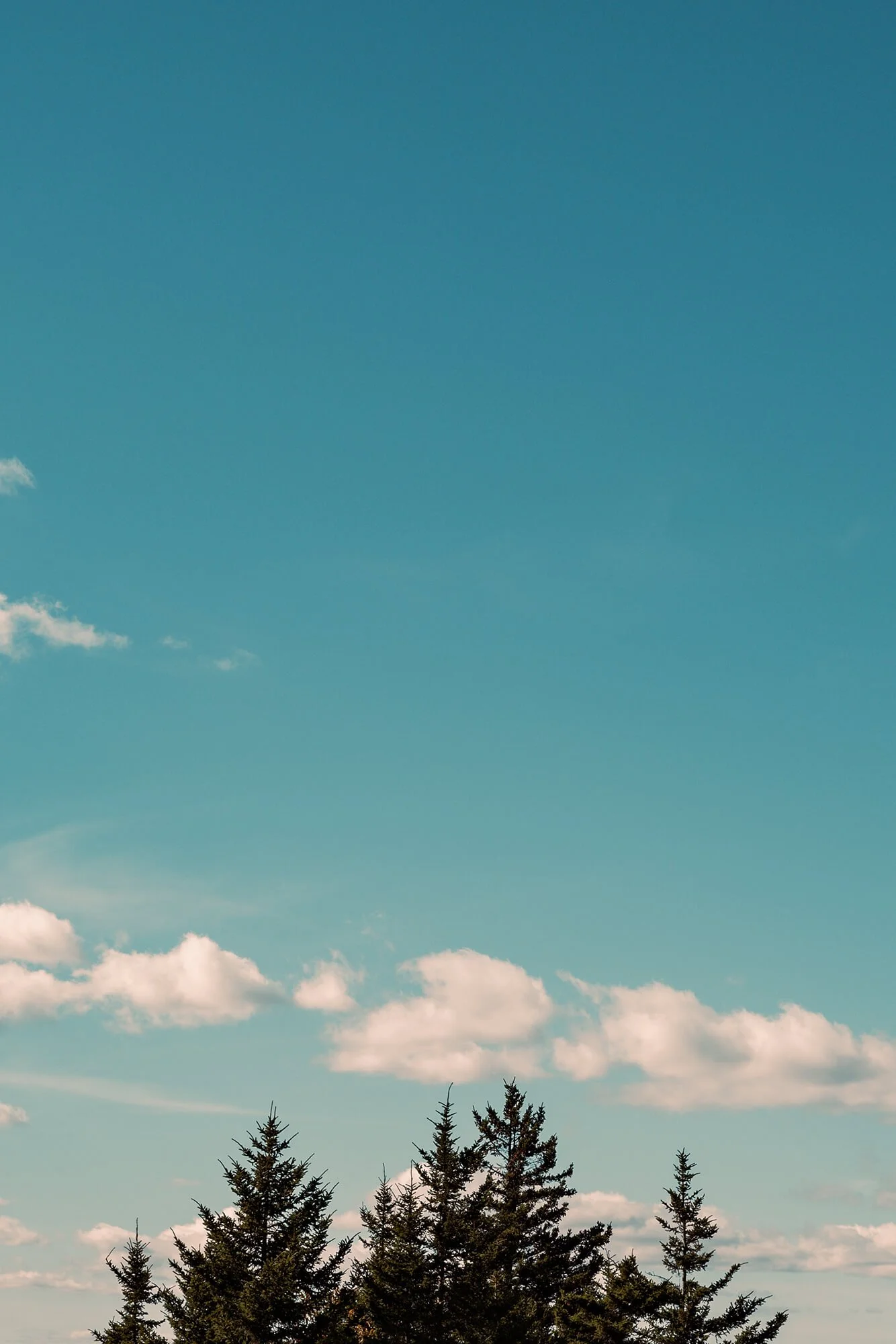 L1001820.jpg