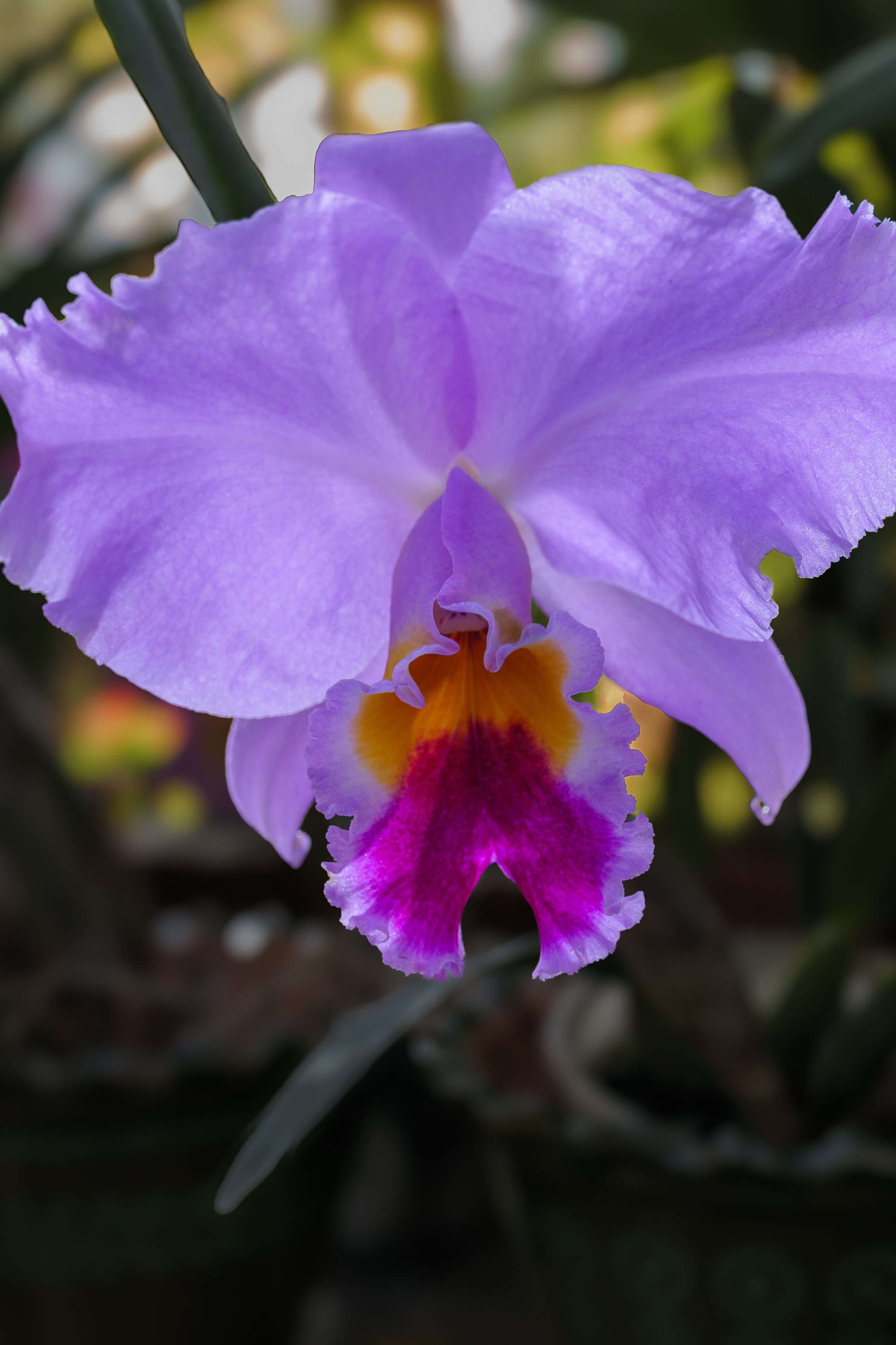 PUERTO VALLARTA 2023-4.jpg