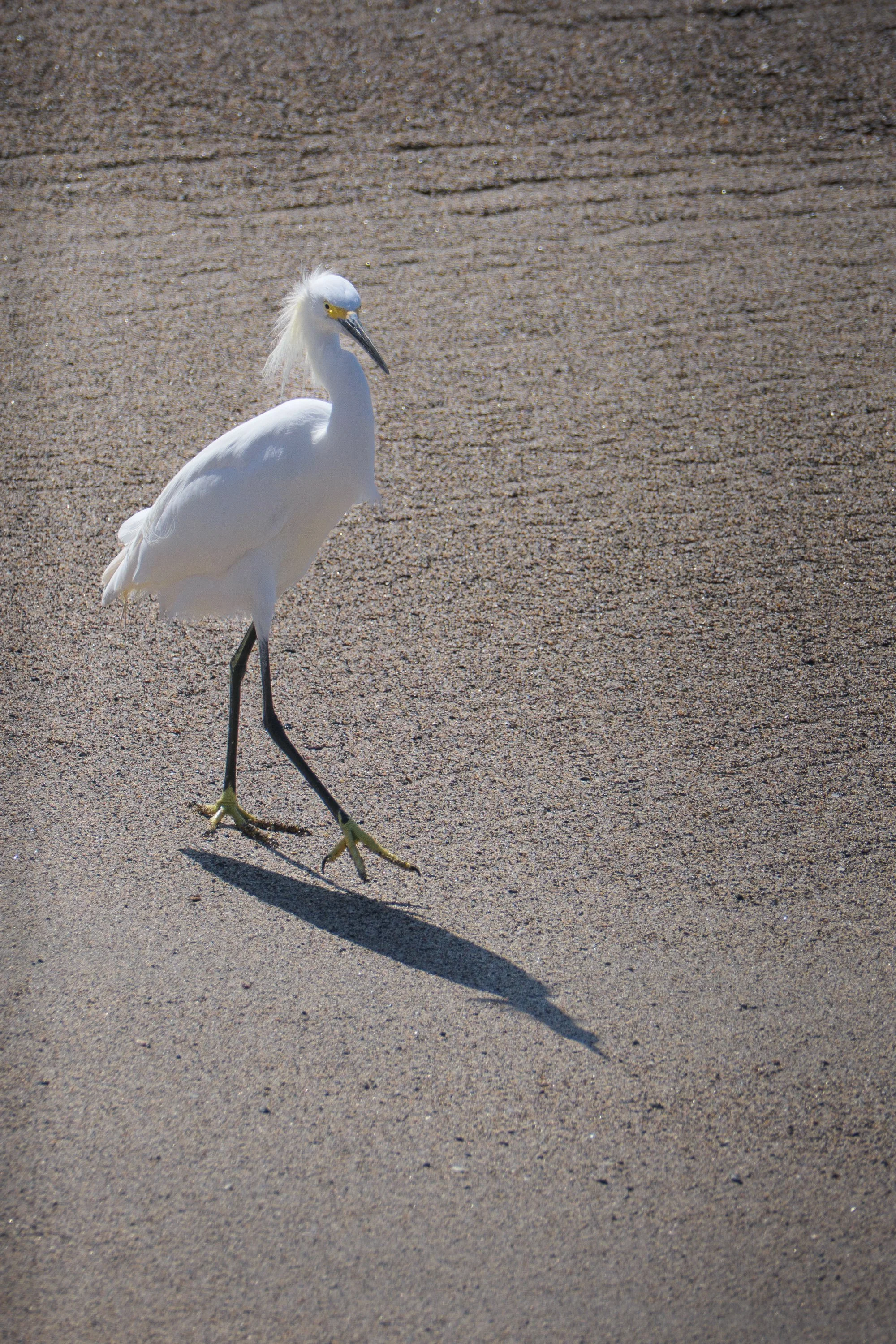 PUERTO VALLARTA 2023-3.jpg