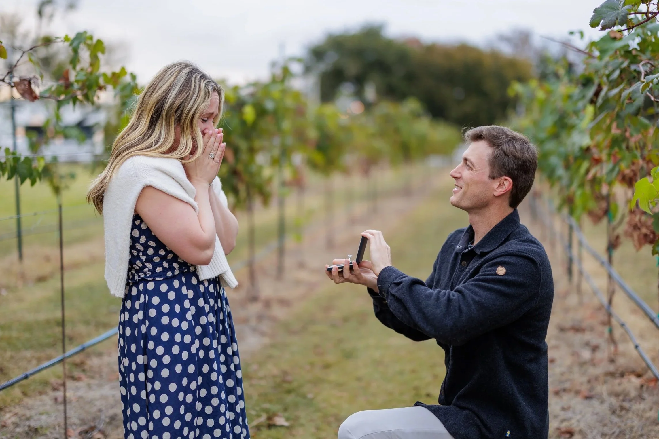 Proposal of a young couple at Signor Vineyards 
