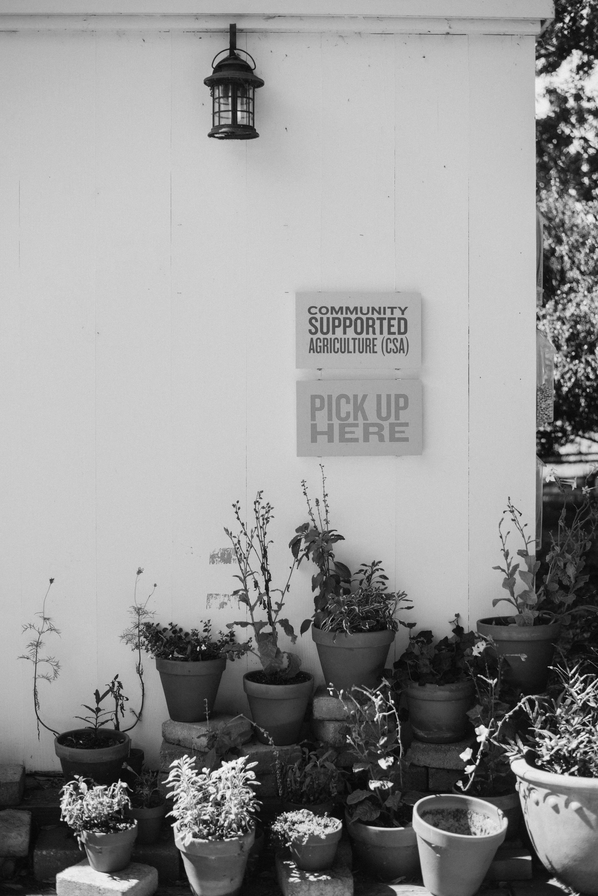 glucose tolerance screening. 