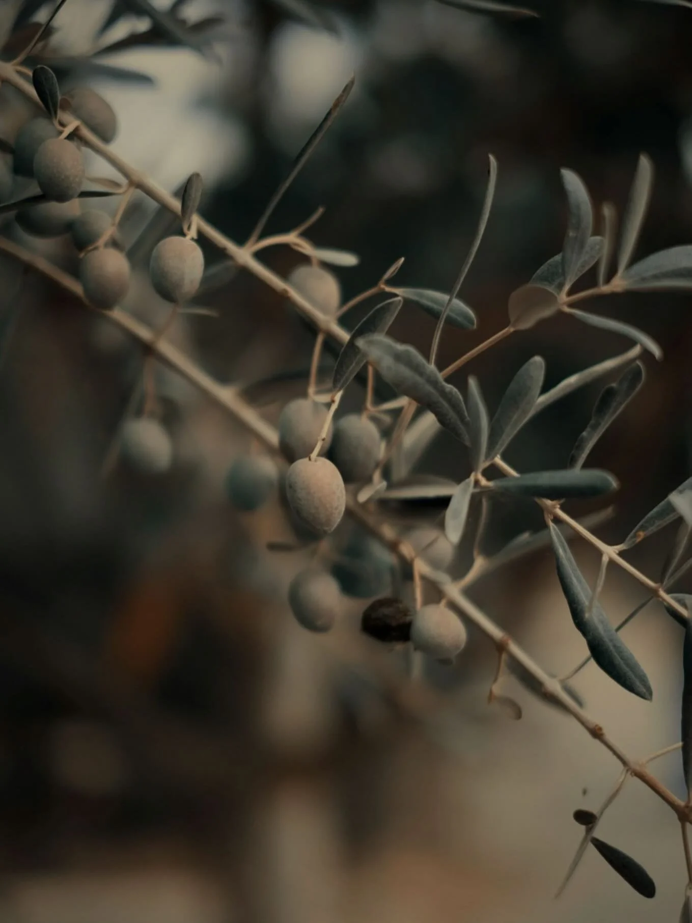 Just a lot of coffees later... and my website is here✨🤘🏼let's launch this

https://www.themattermamma.org/

Ready to elevate what I already know is successful.
Quality lactation &amp; maternal supportive services is accessible to all and I am extre