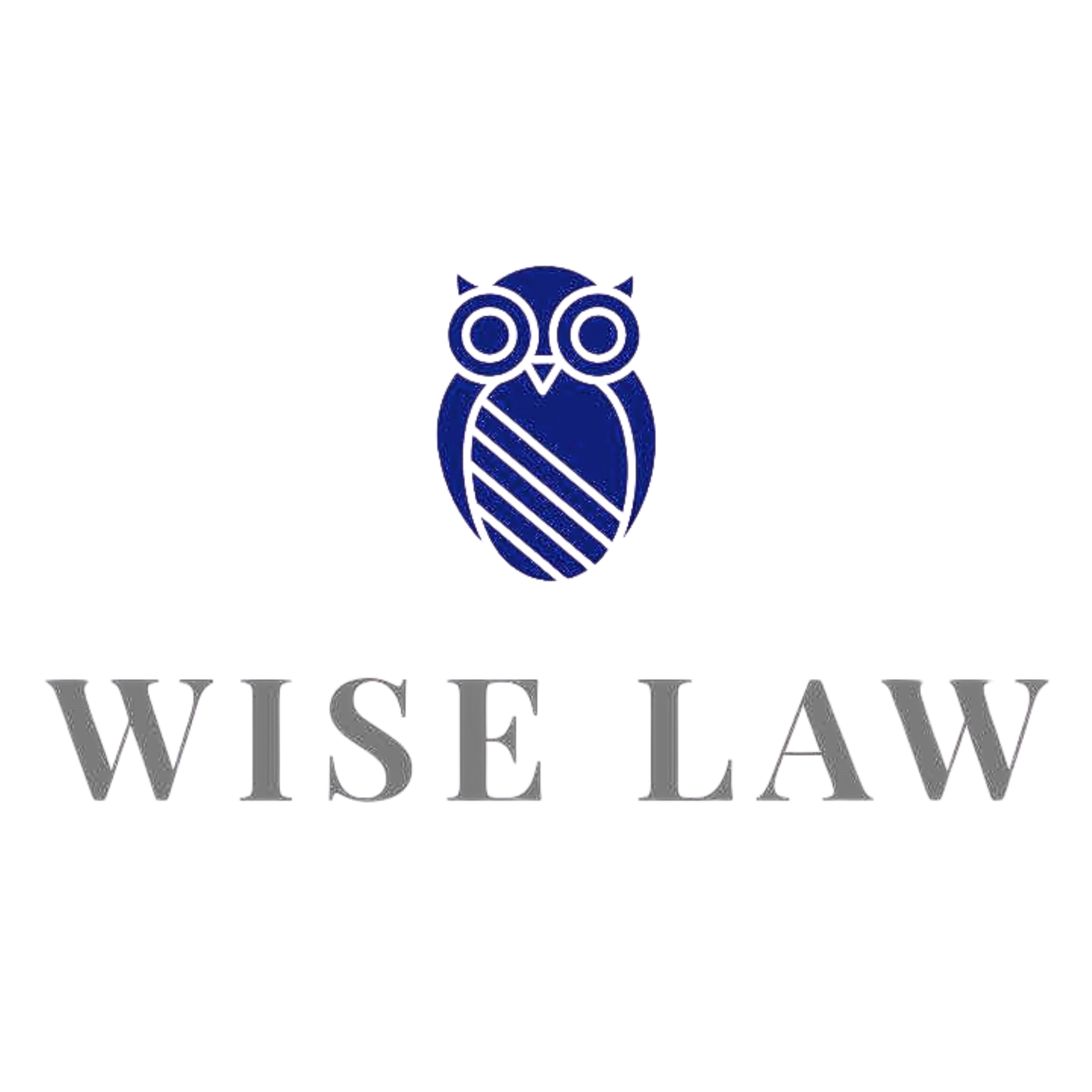Blue owl logo above the words 'WISE LAW' in gray metallic font.