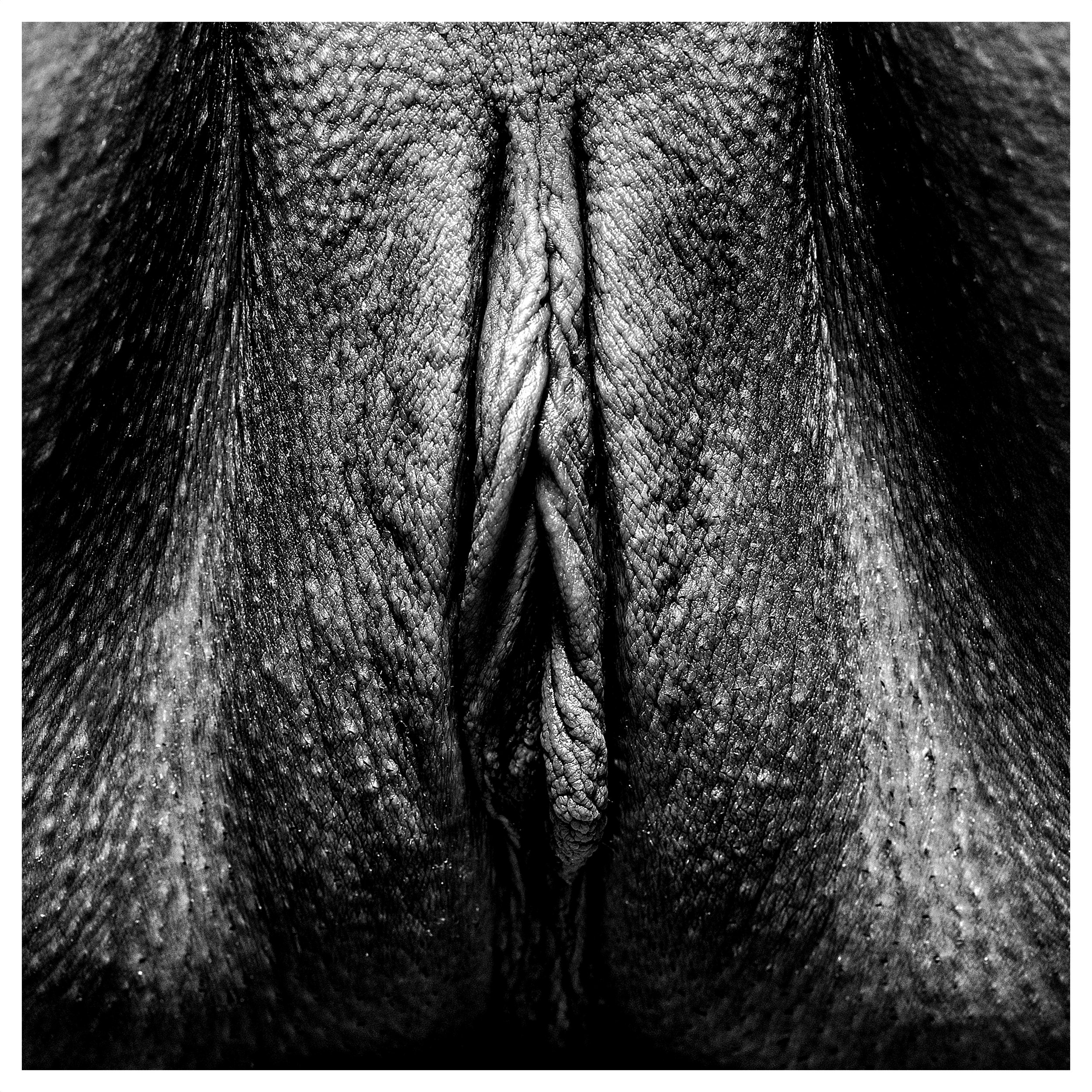 PoV-9.jpg