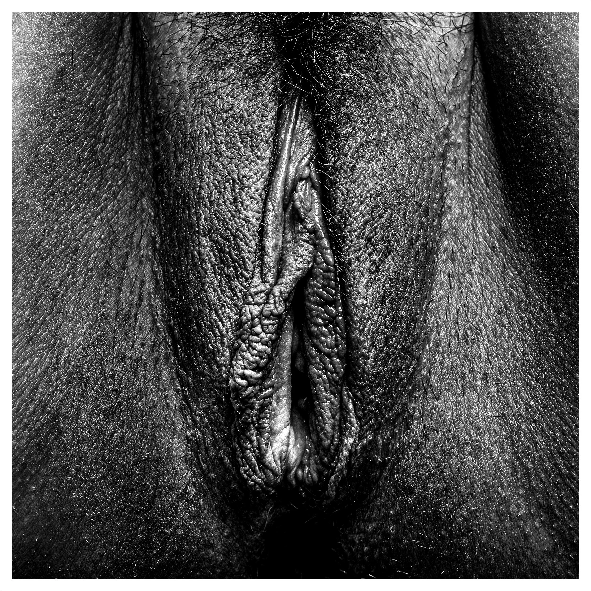 PoV-3.jpg