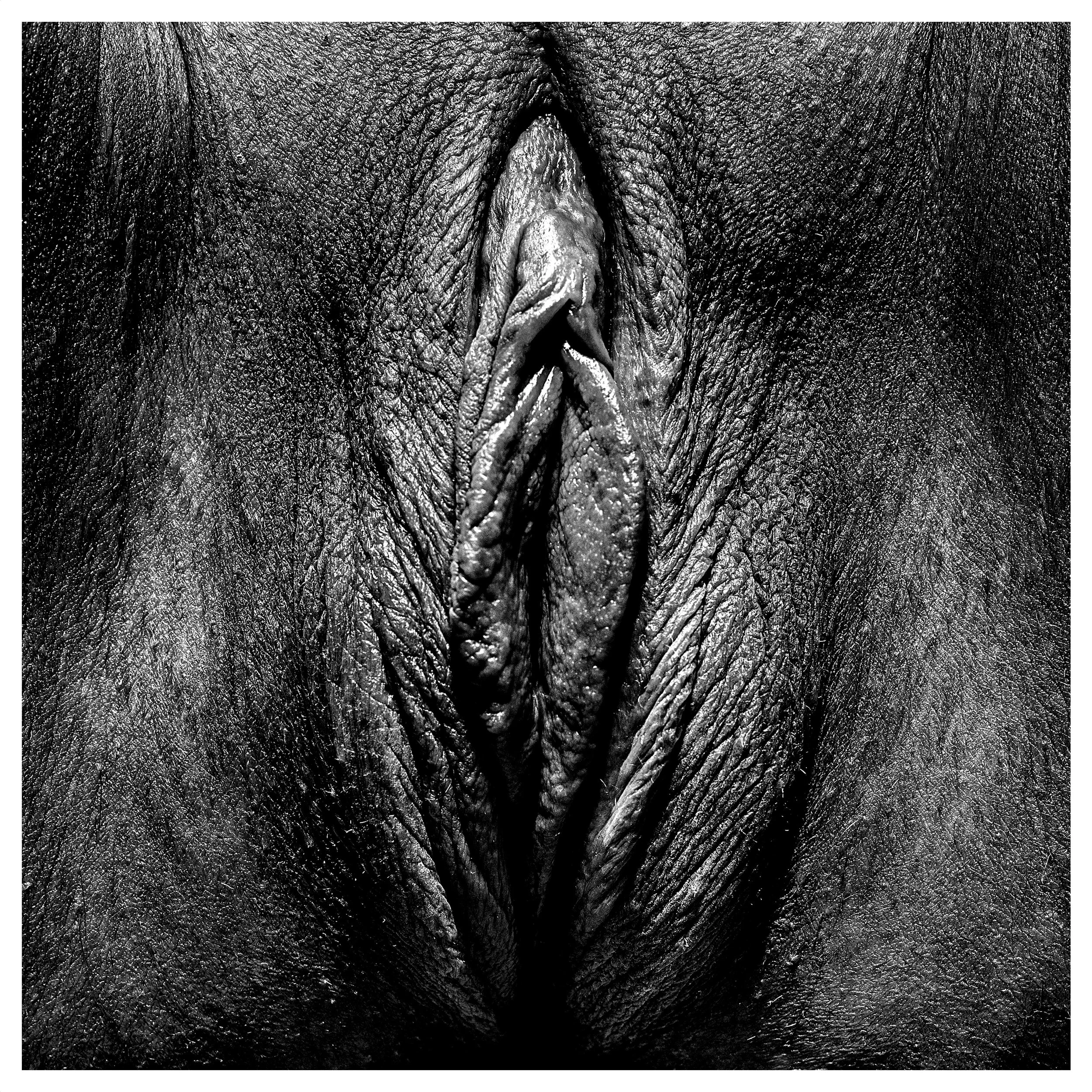 PoV-8.jpg
