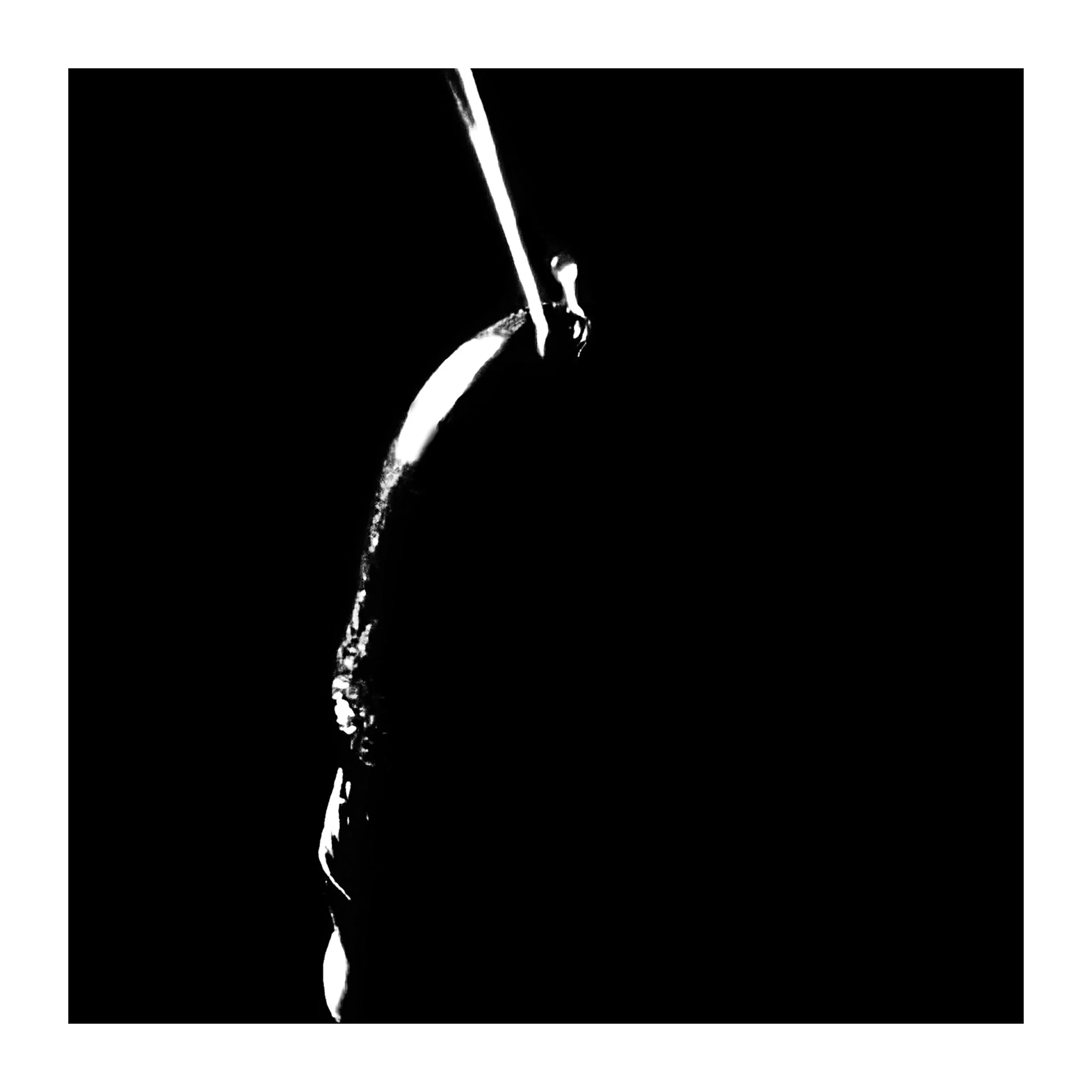 photo noir.jpg
