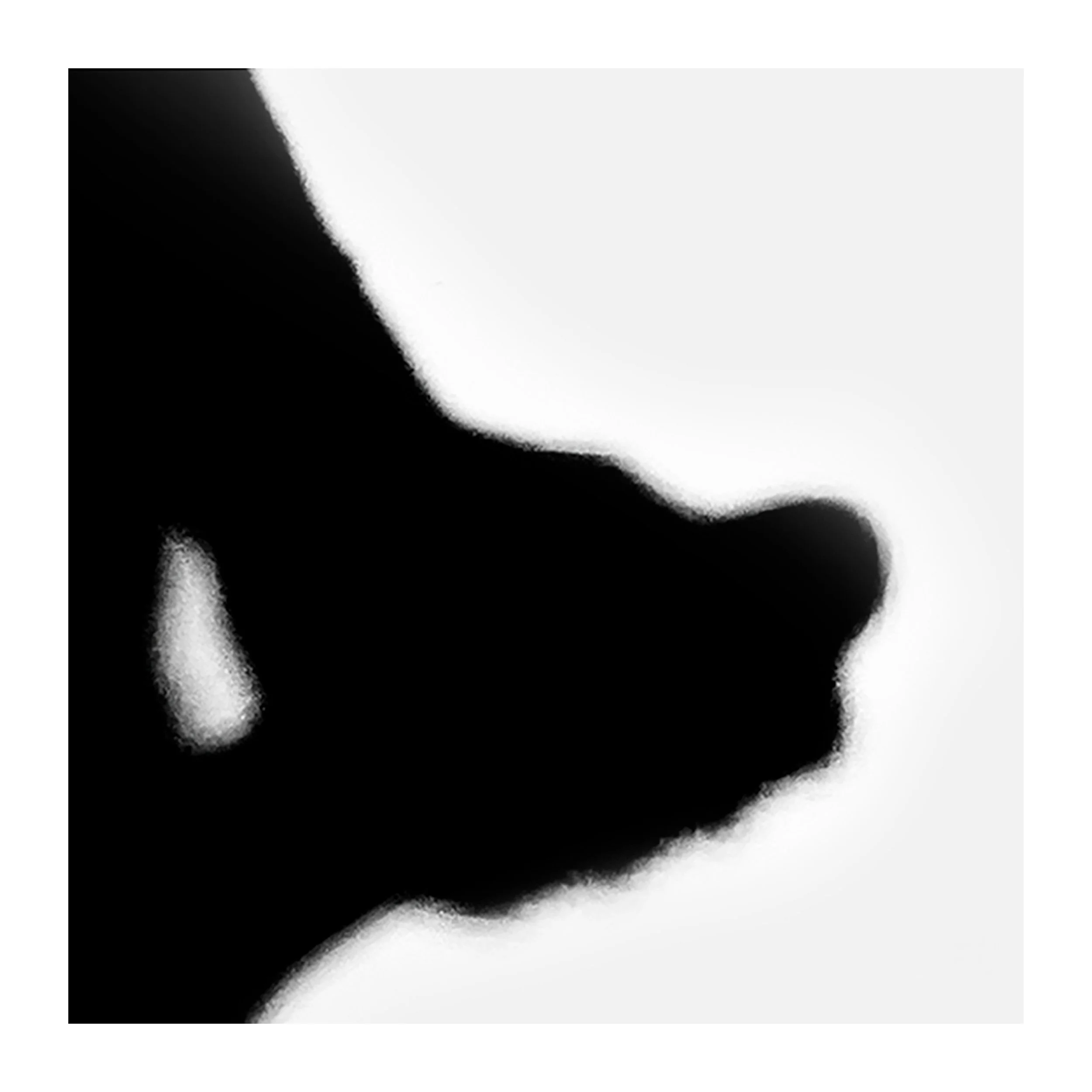 shadow play_1.jpg