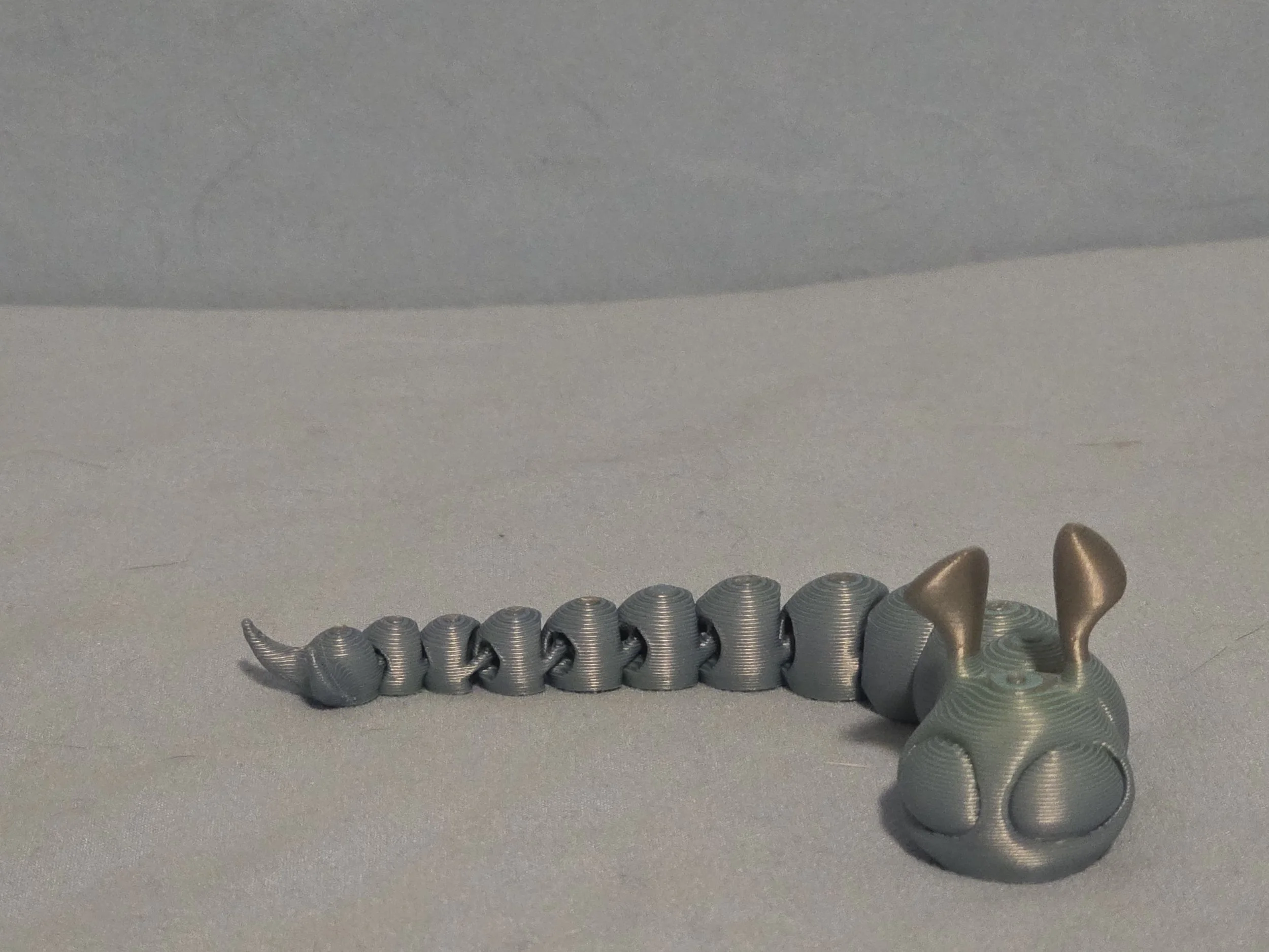 Slug Multi Color - 3.jpg