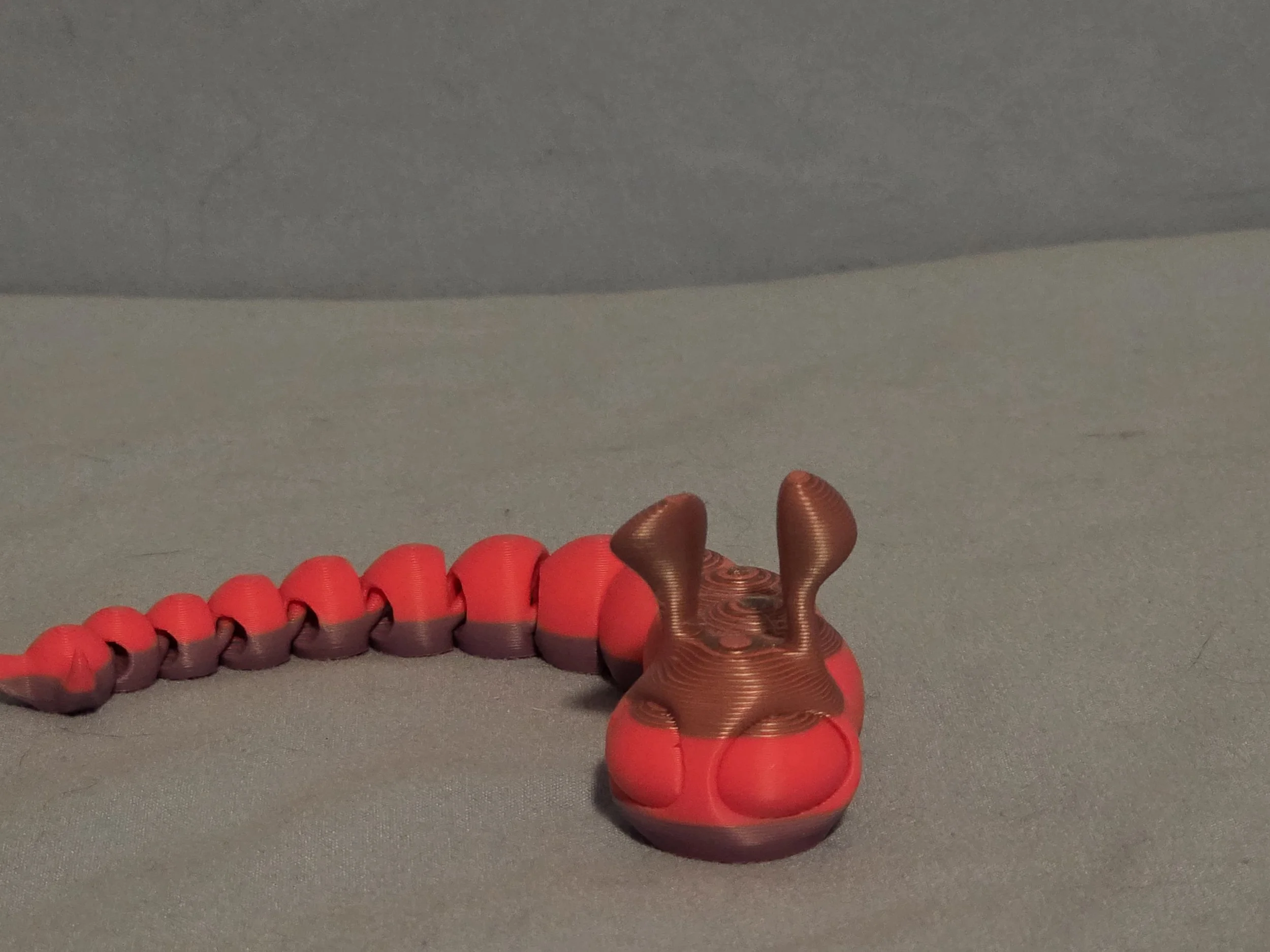 Slug Multi Color - 11.jpg