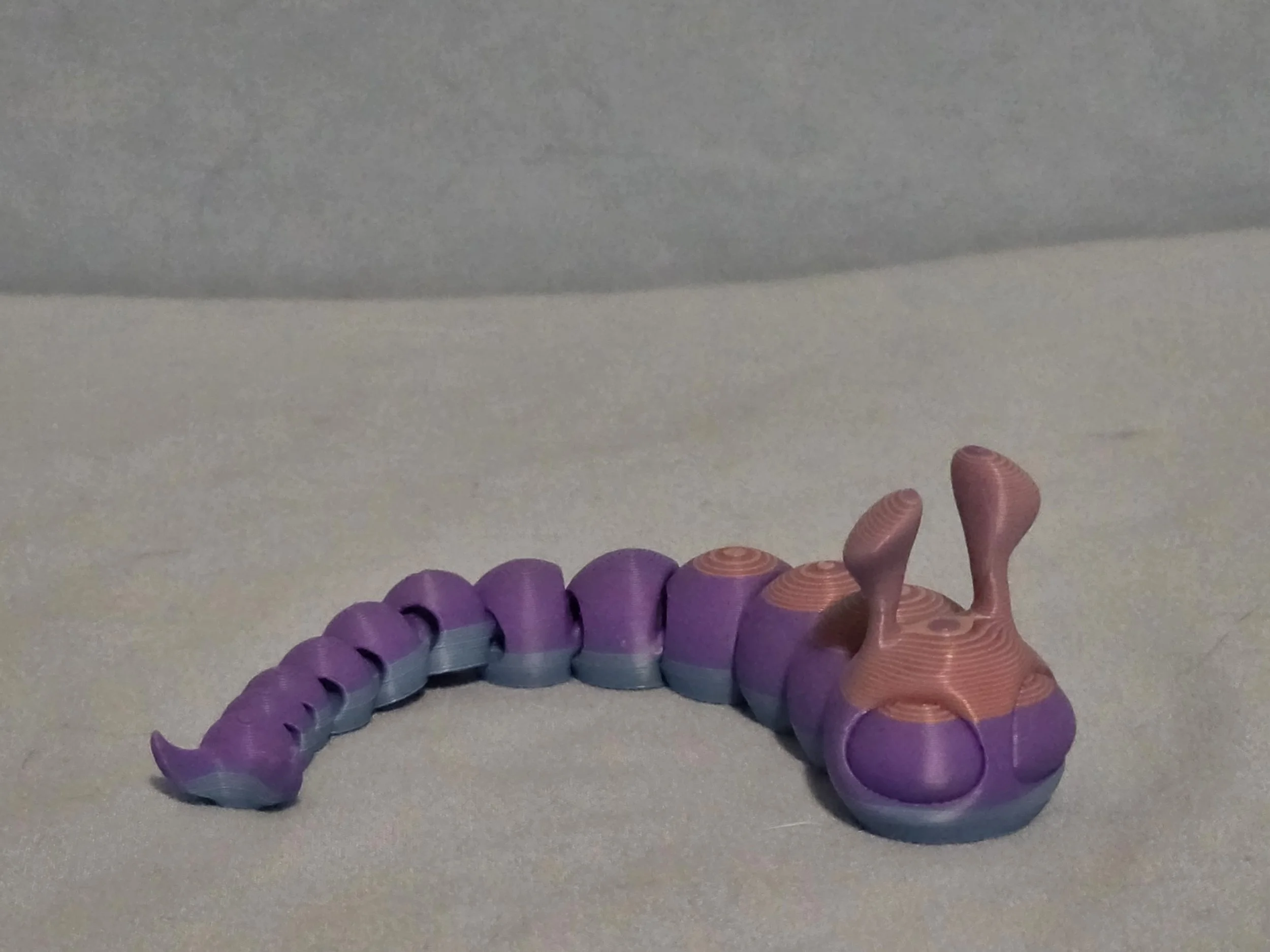 Slug Multi Color - 8.jpg