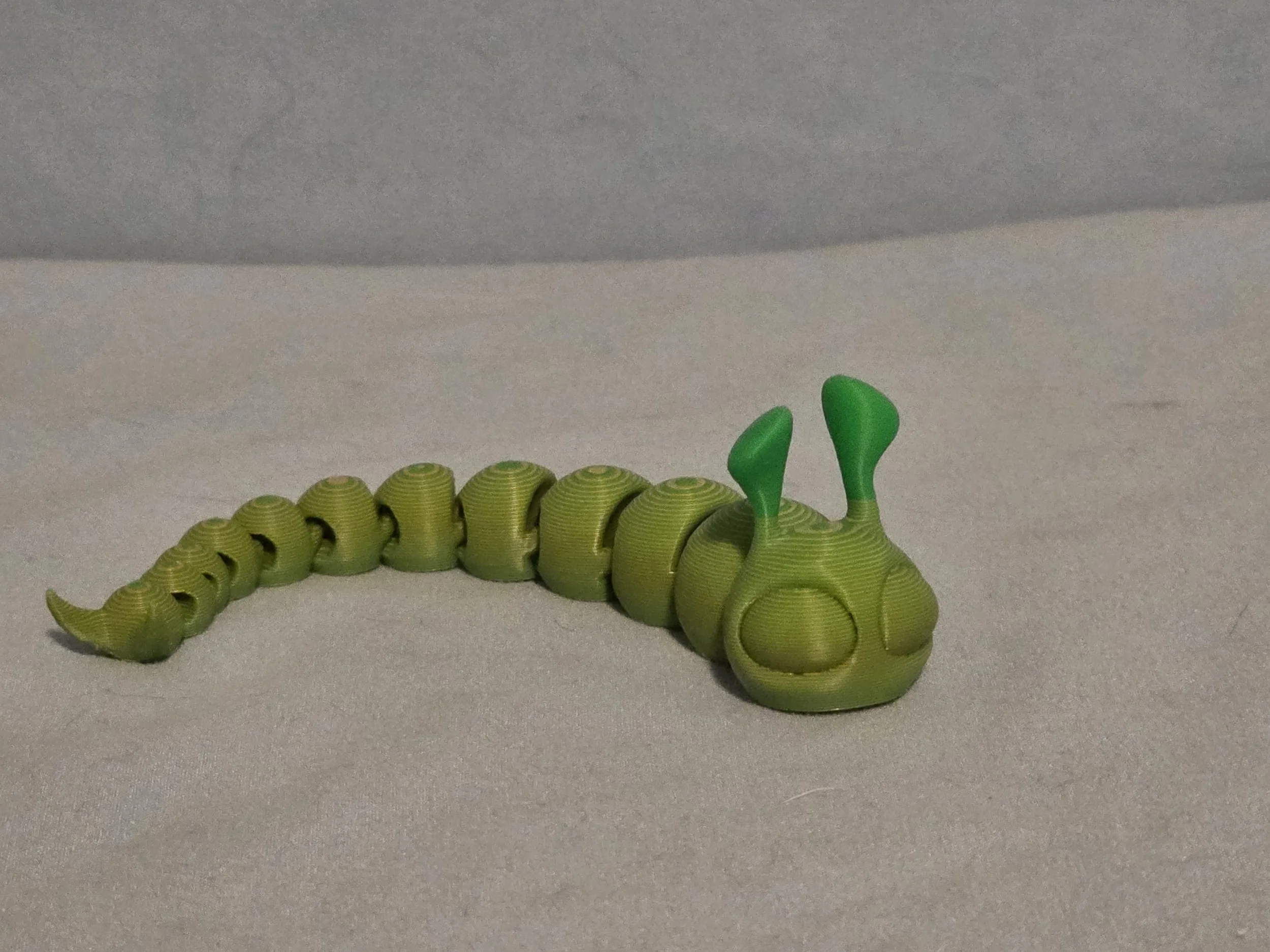 Slug Multi Color - 14.jpg