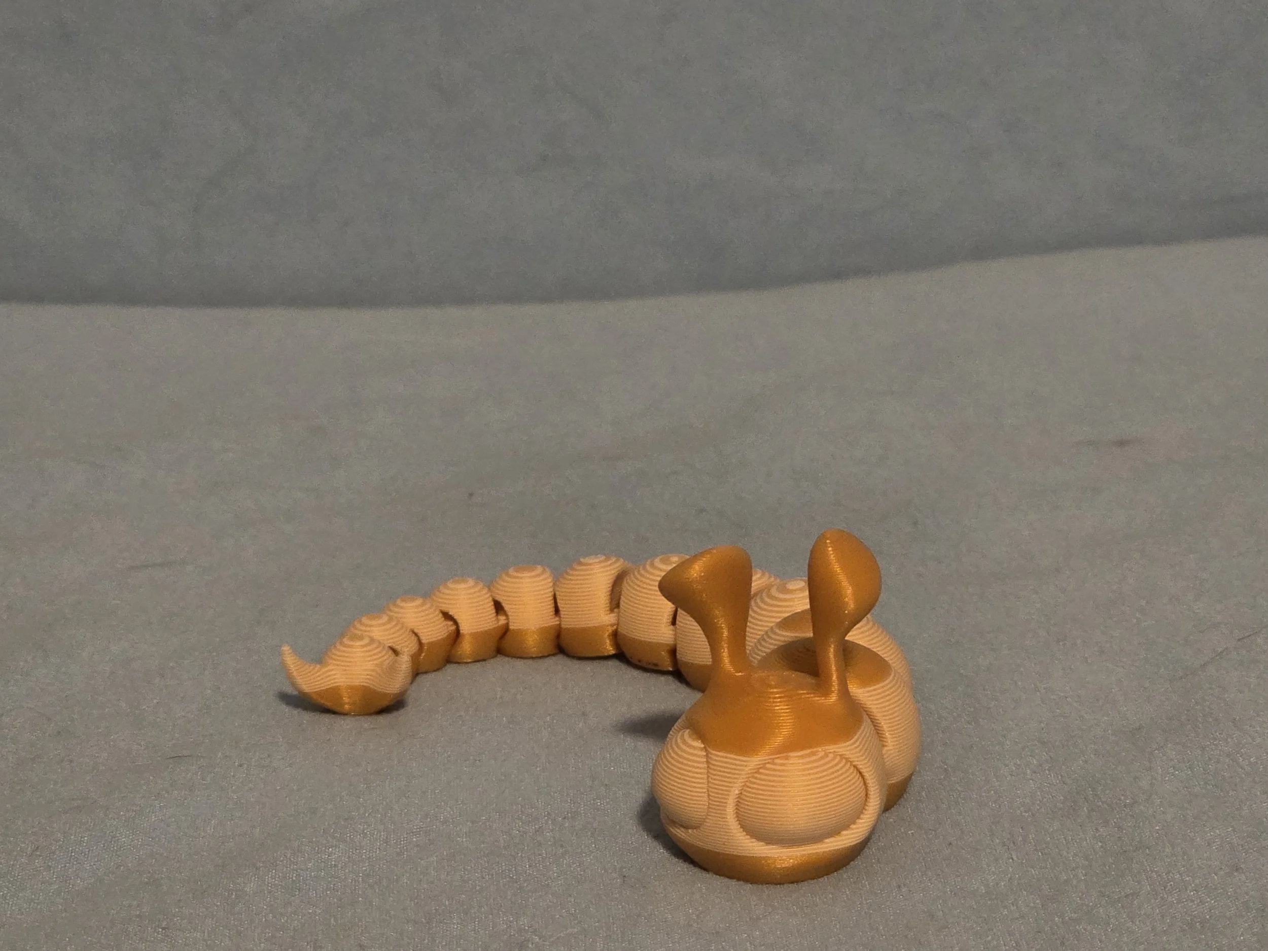 Slug Multi Color - 5.jpg