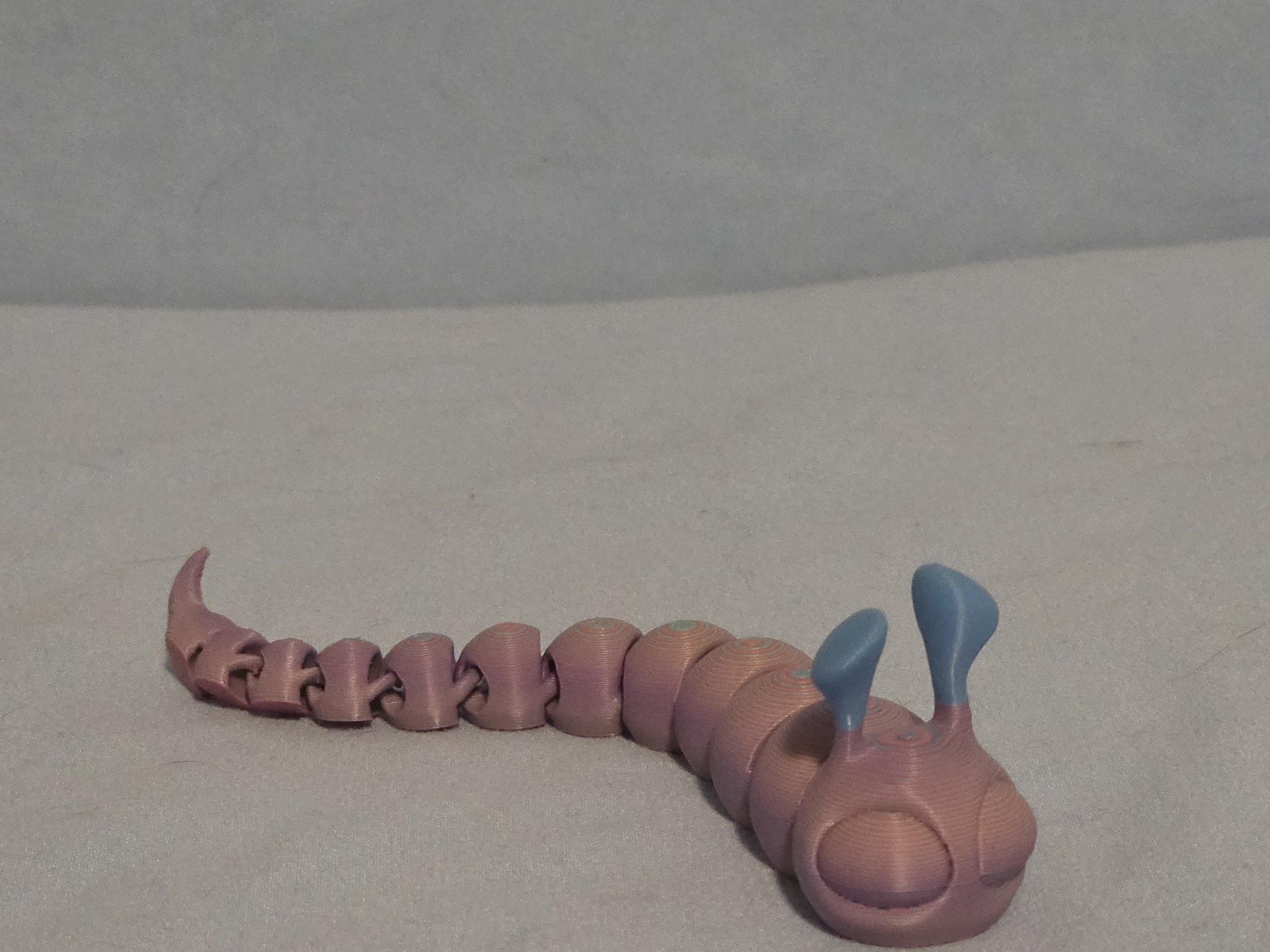 Slug Multi Color - 4.jpg