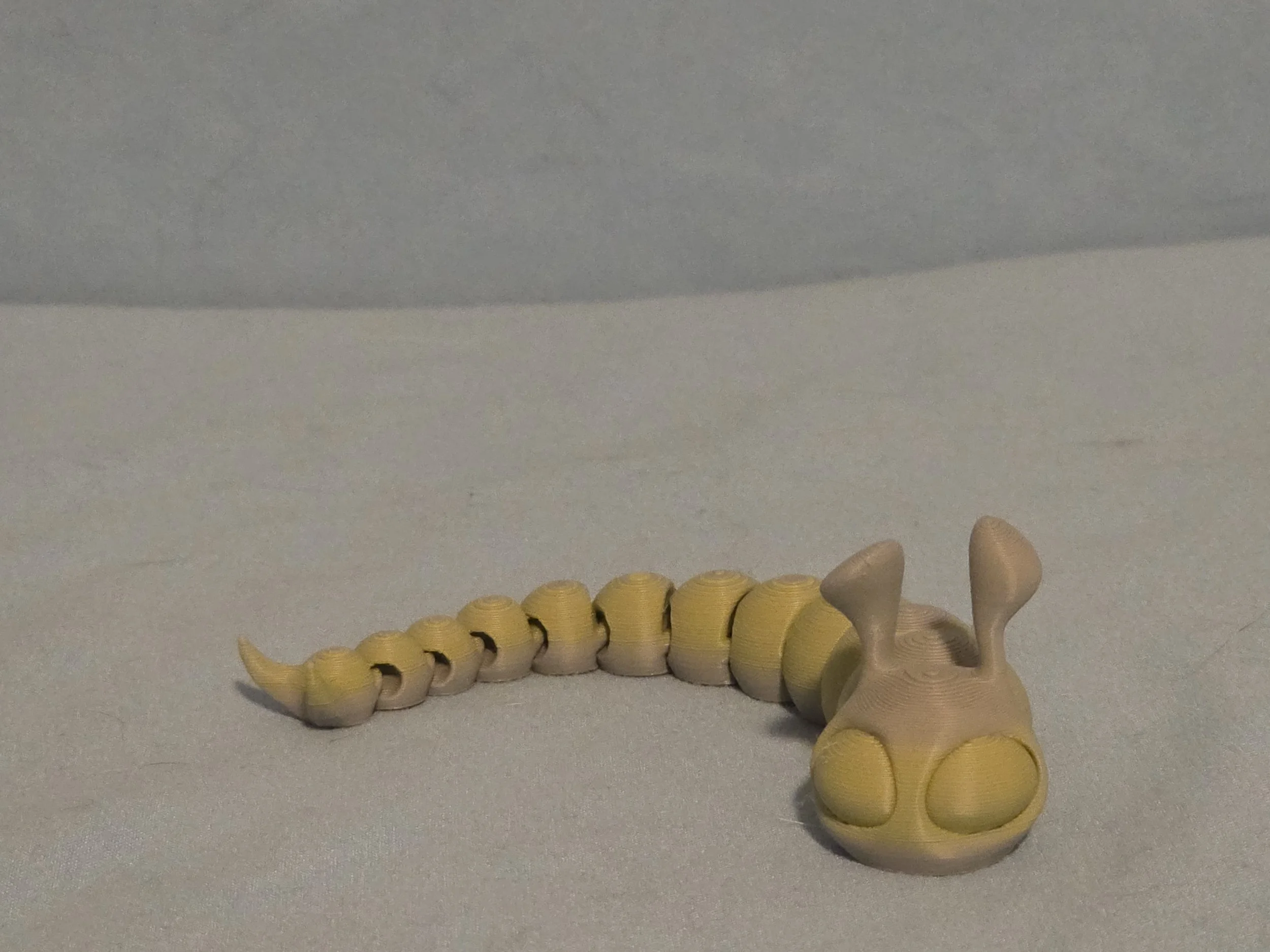 Slug Multi Color - 9.jpg